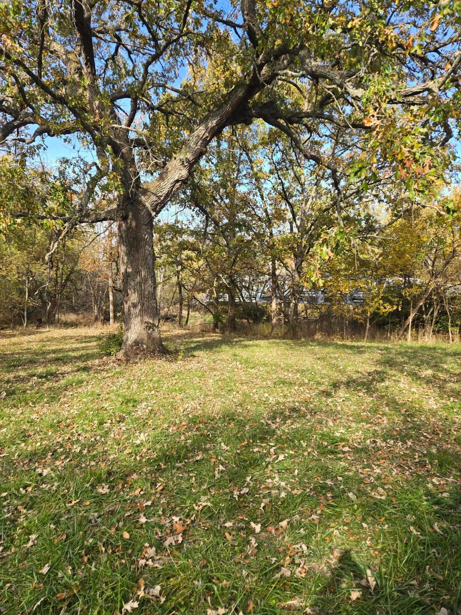 2209 Grewell Road Property Photo 8