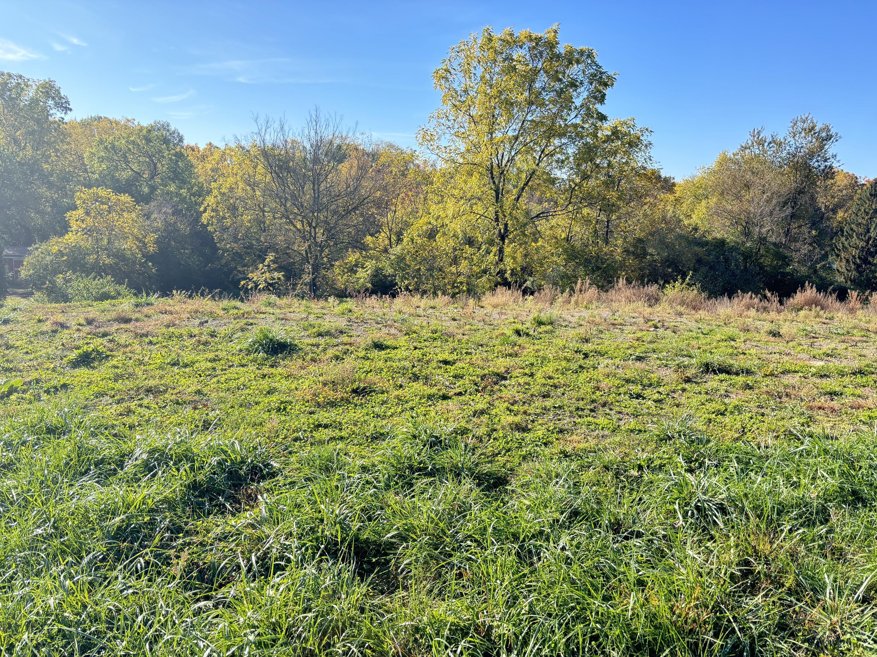 7067 Hagerty Road Property Photo 3