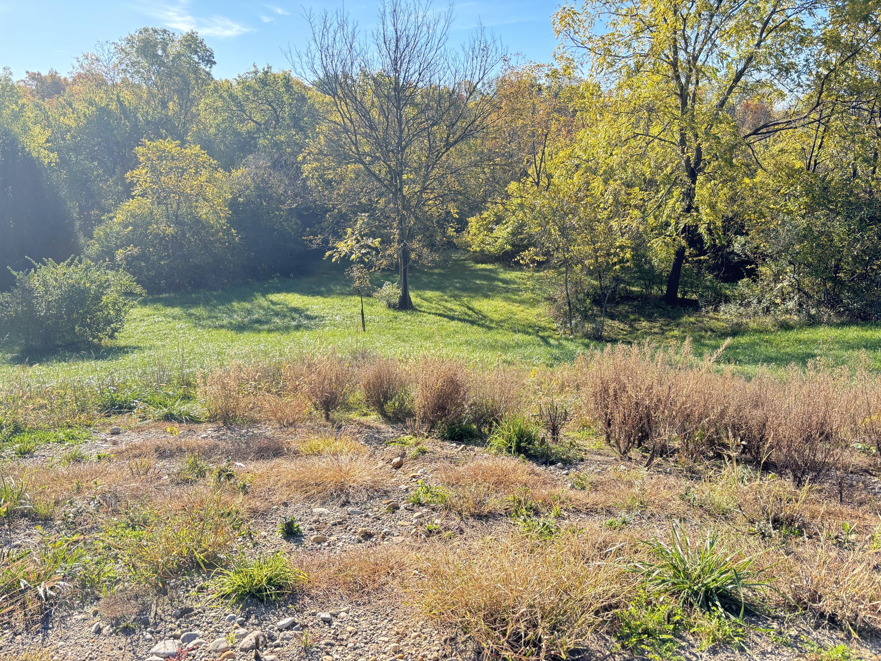 7067 Hagerty Road Property Photo 4