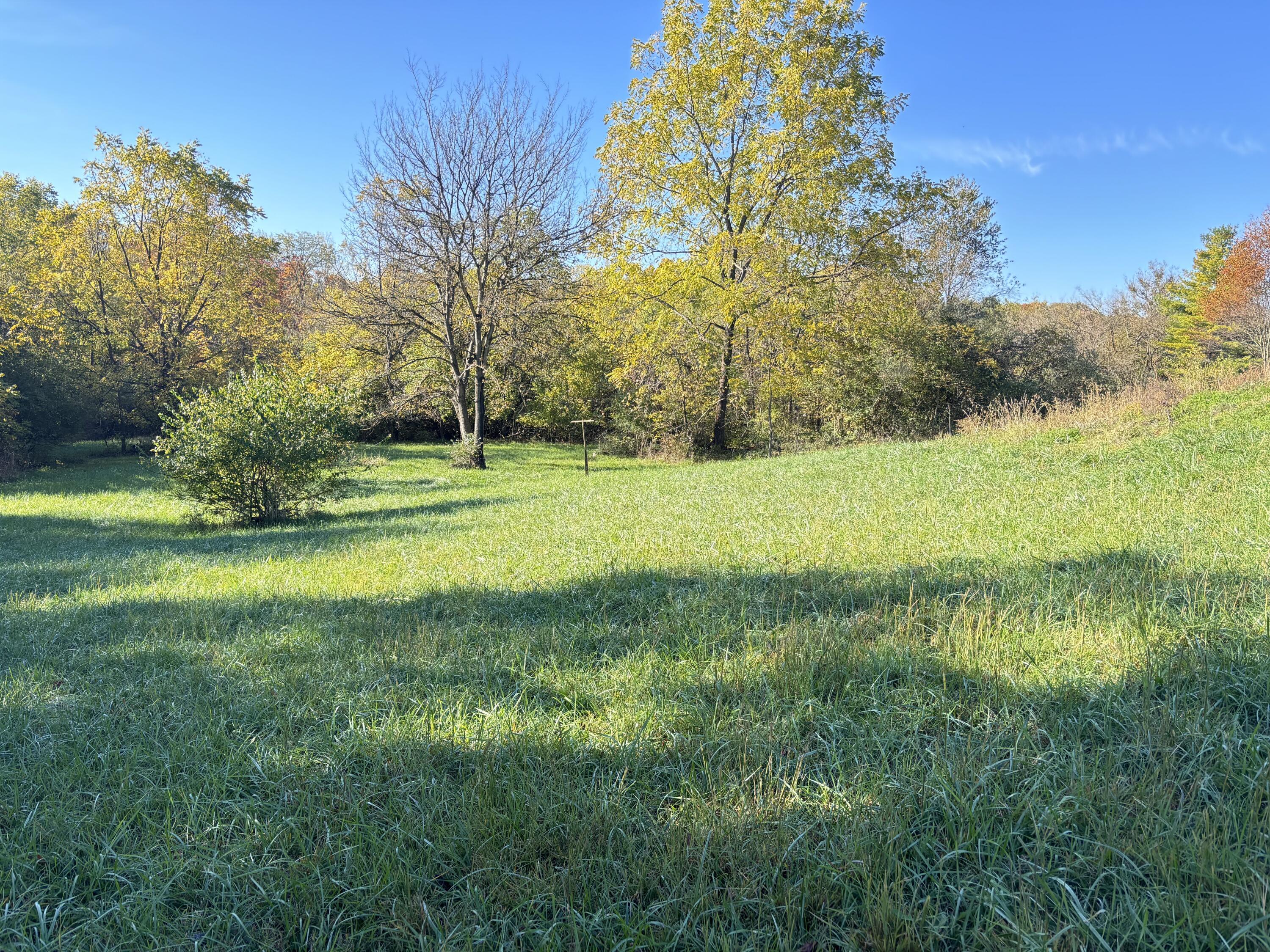 7067 Hagerty Road Property Photo 6
