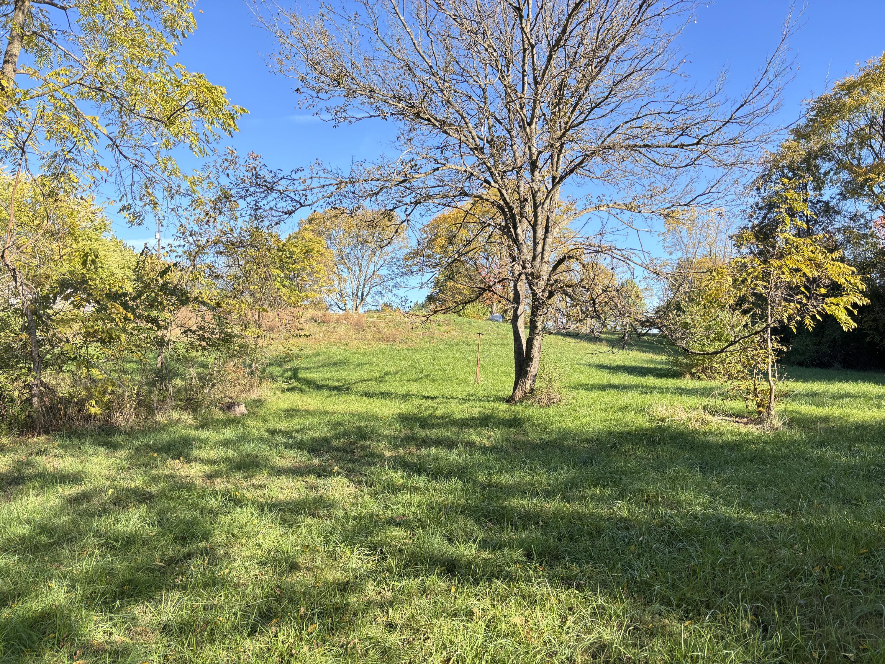 7067 Hagerty Road Property Photo 7