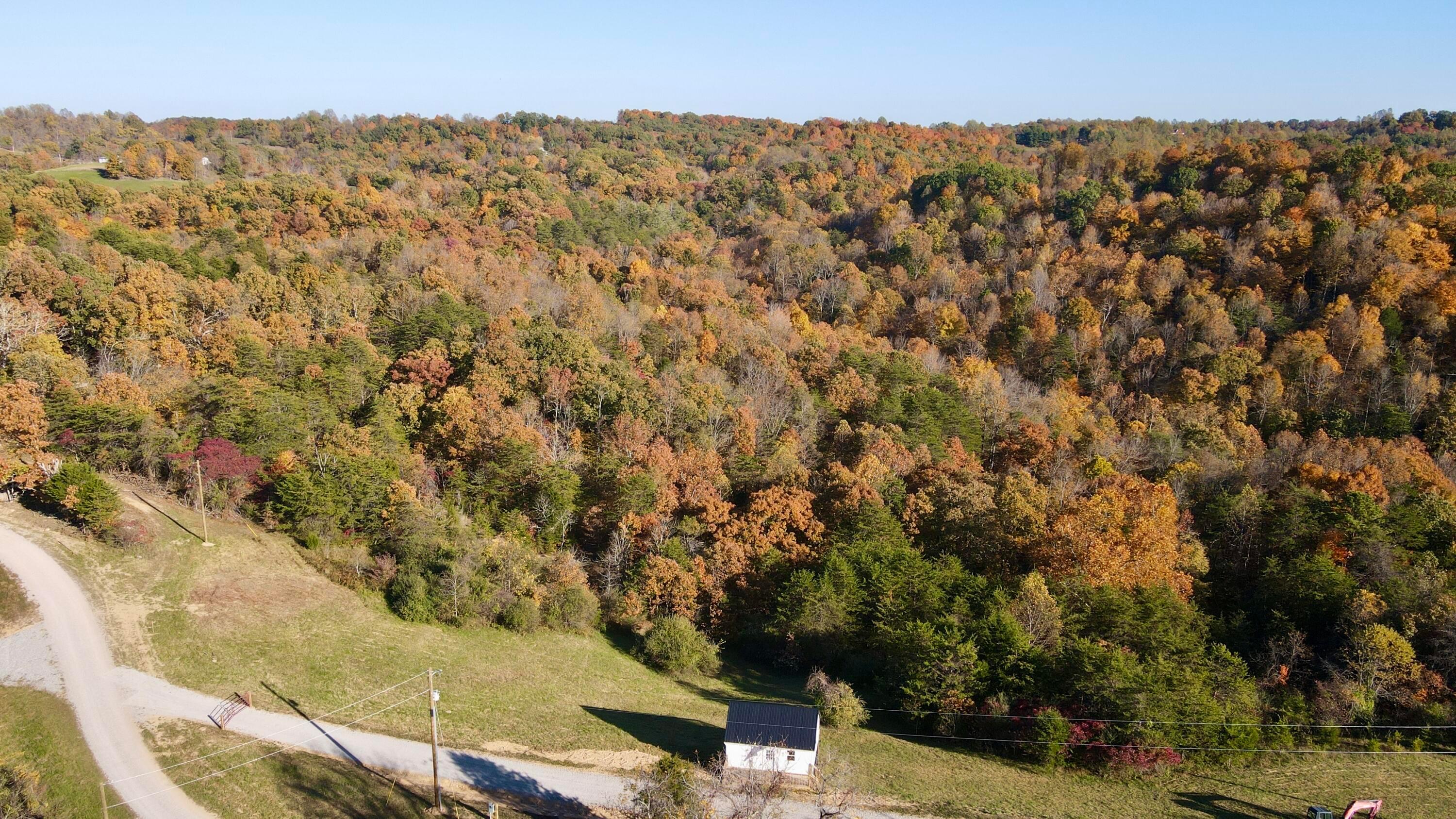 925 Hull Road, (skyline Cabin Woods Wayne) Property Photo 2