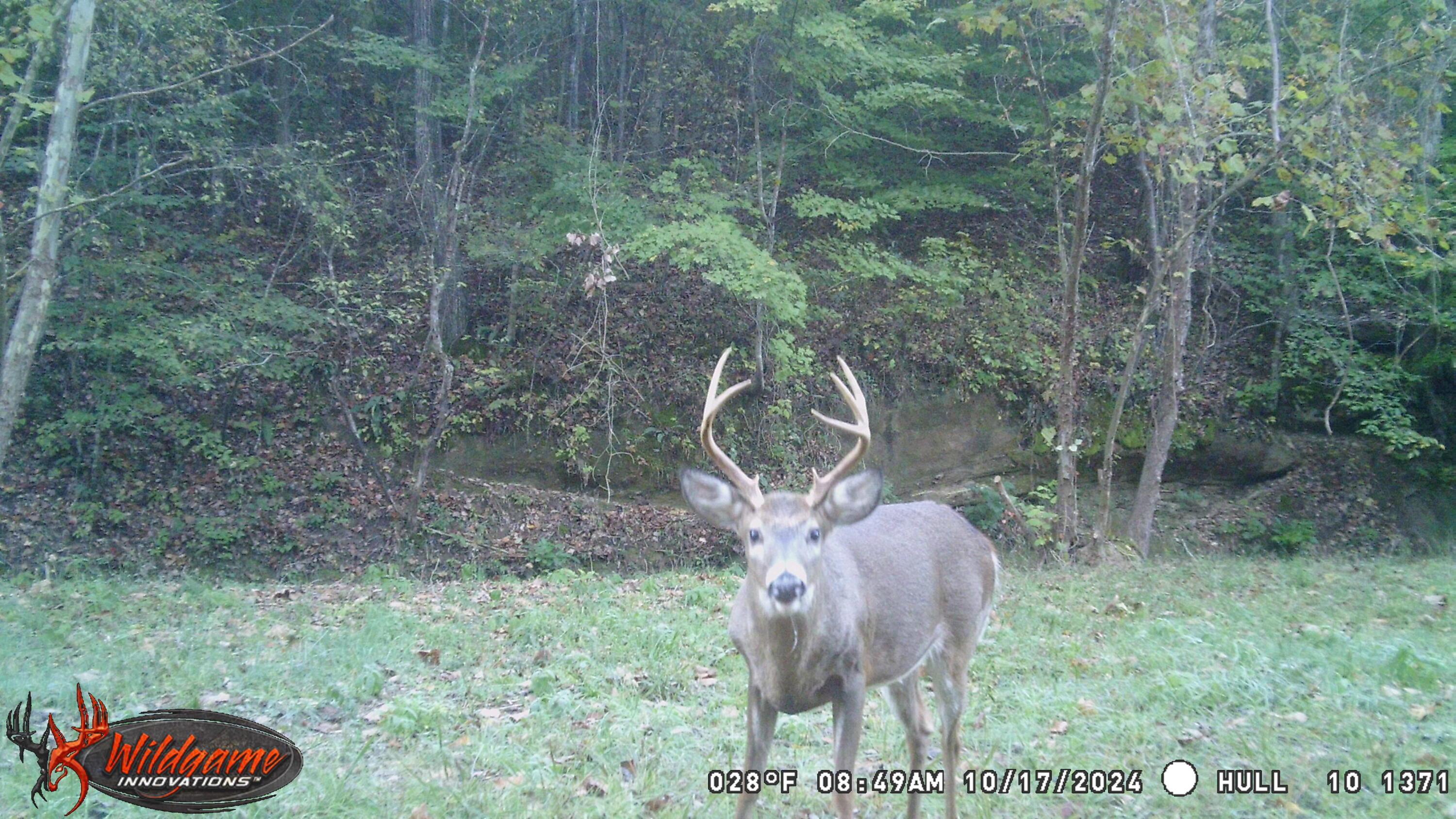 925 Hull Road, (skyline Cabin Woods Wayne) Property Photo 3