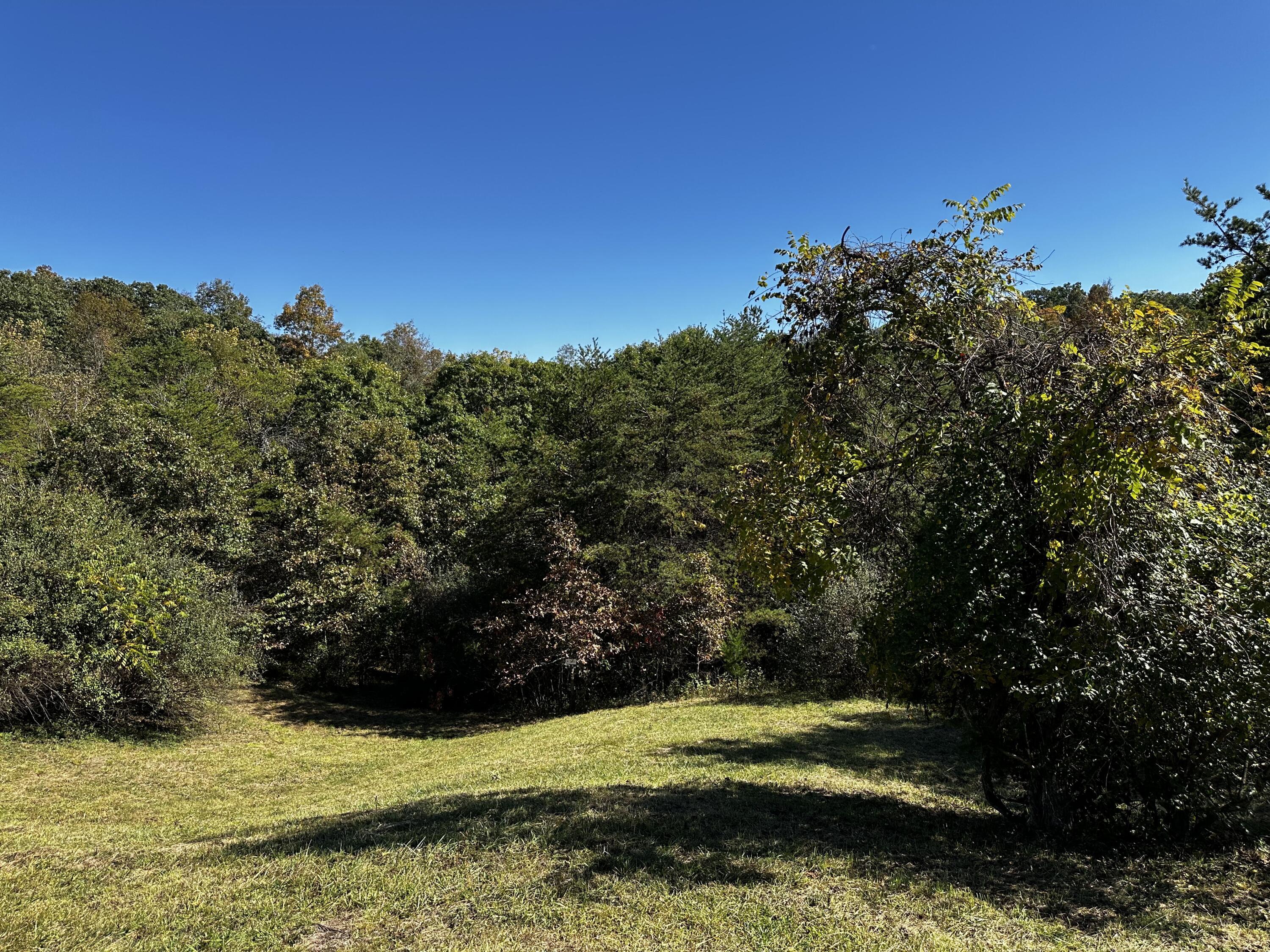 925 Hull Road, (skyline Cabin Woods Wayne) Property Photo 35