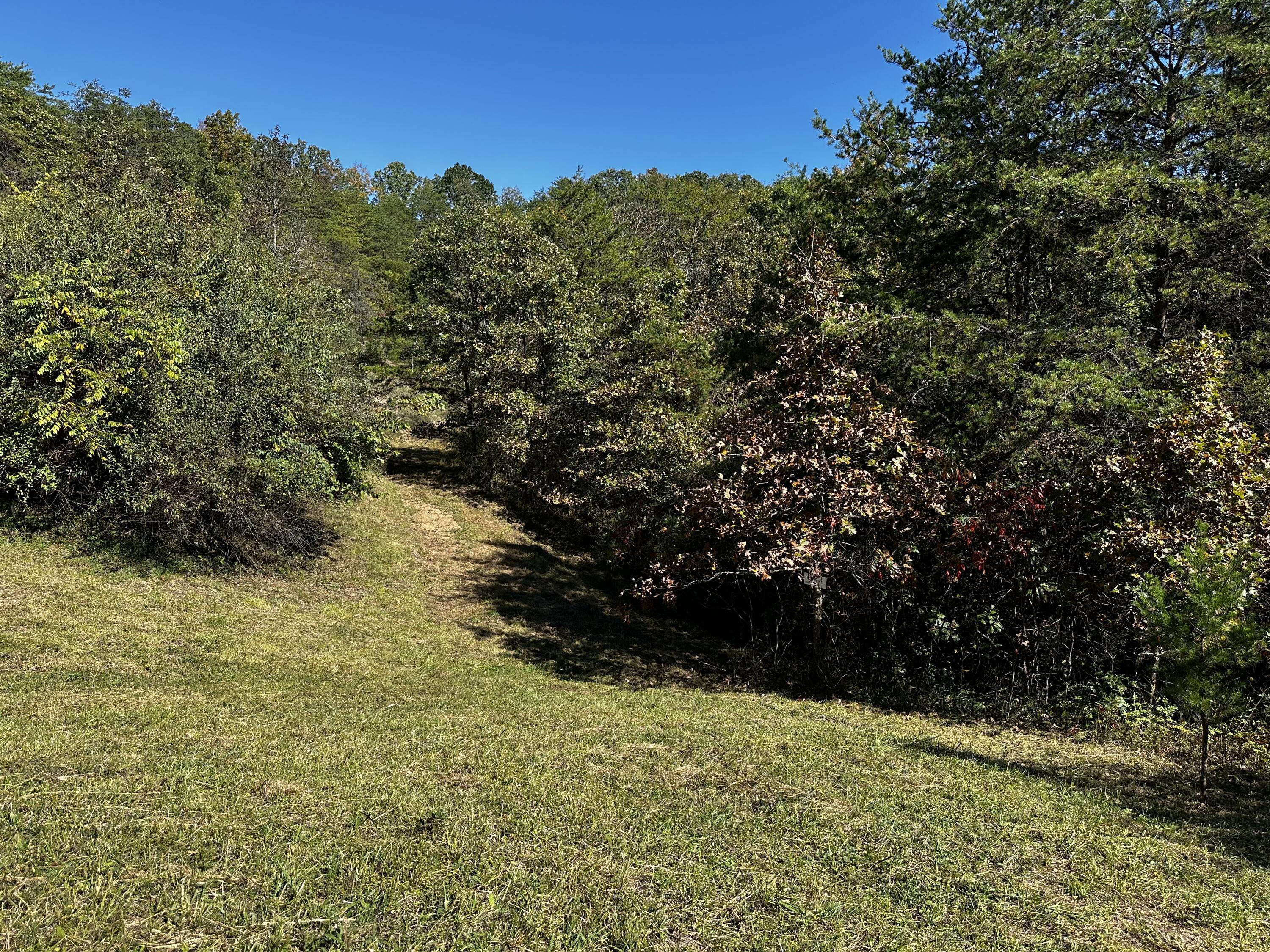 925 Hull Road, (skyline Cabin Woods Wayne) Property Photo 36