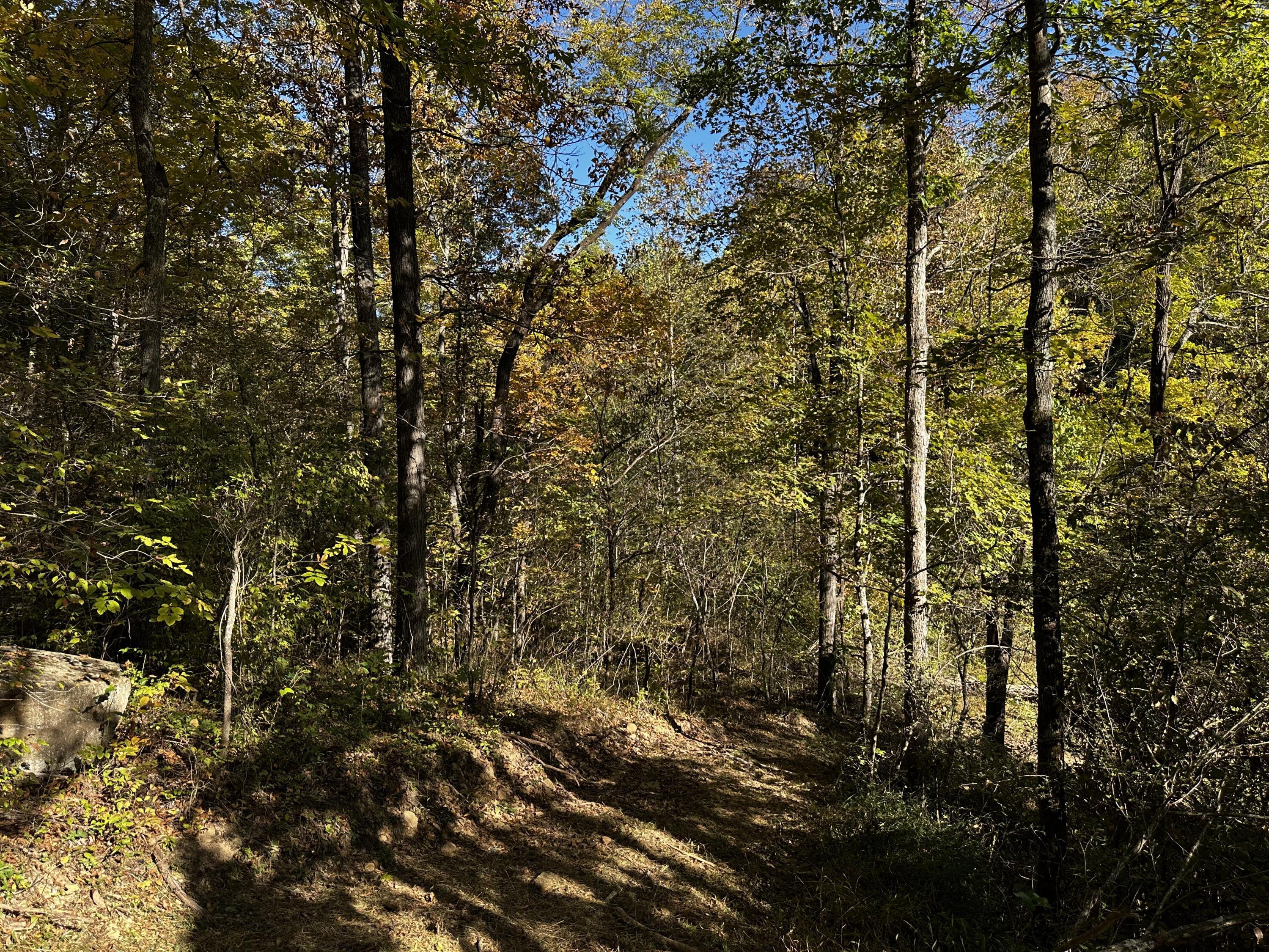 925 Hull Road, (skyline Cabin Woods Wayne) Property Photo 44