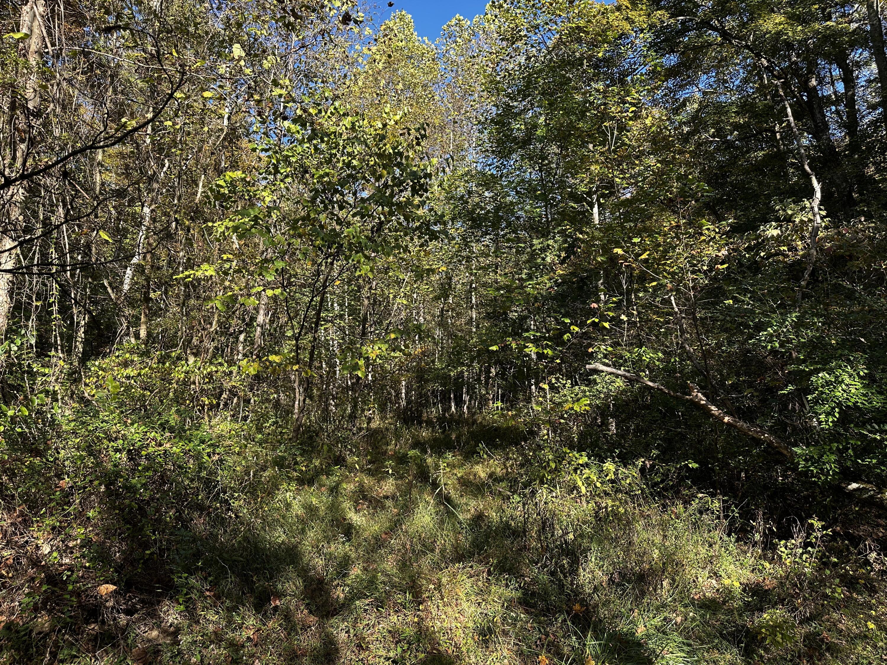 925 Hull Road, (skyline Cabin Woods Wayne) Property Photo 50