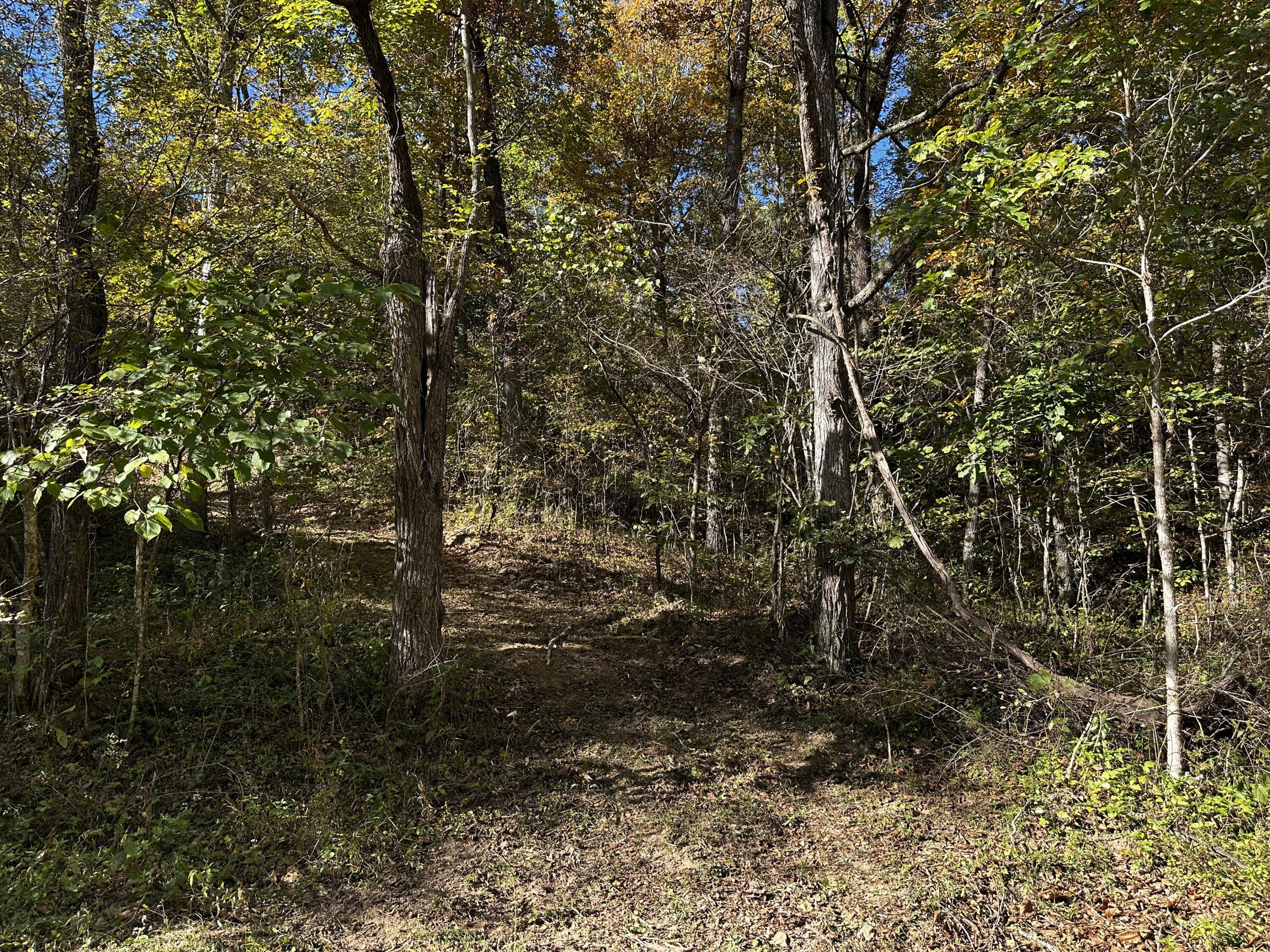 925 Hull Road, (skyline Cabin Woods Wayne) Property Photo 51