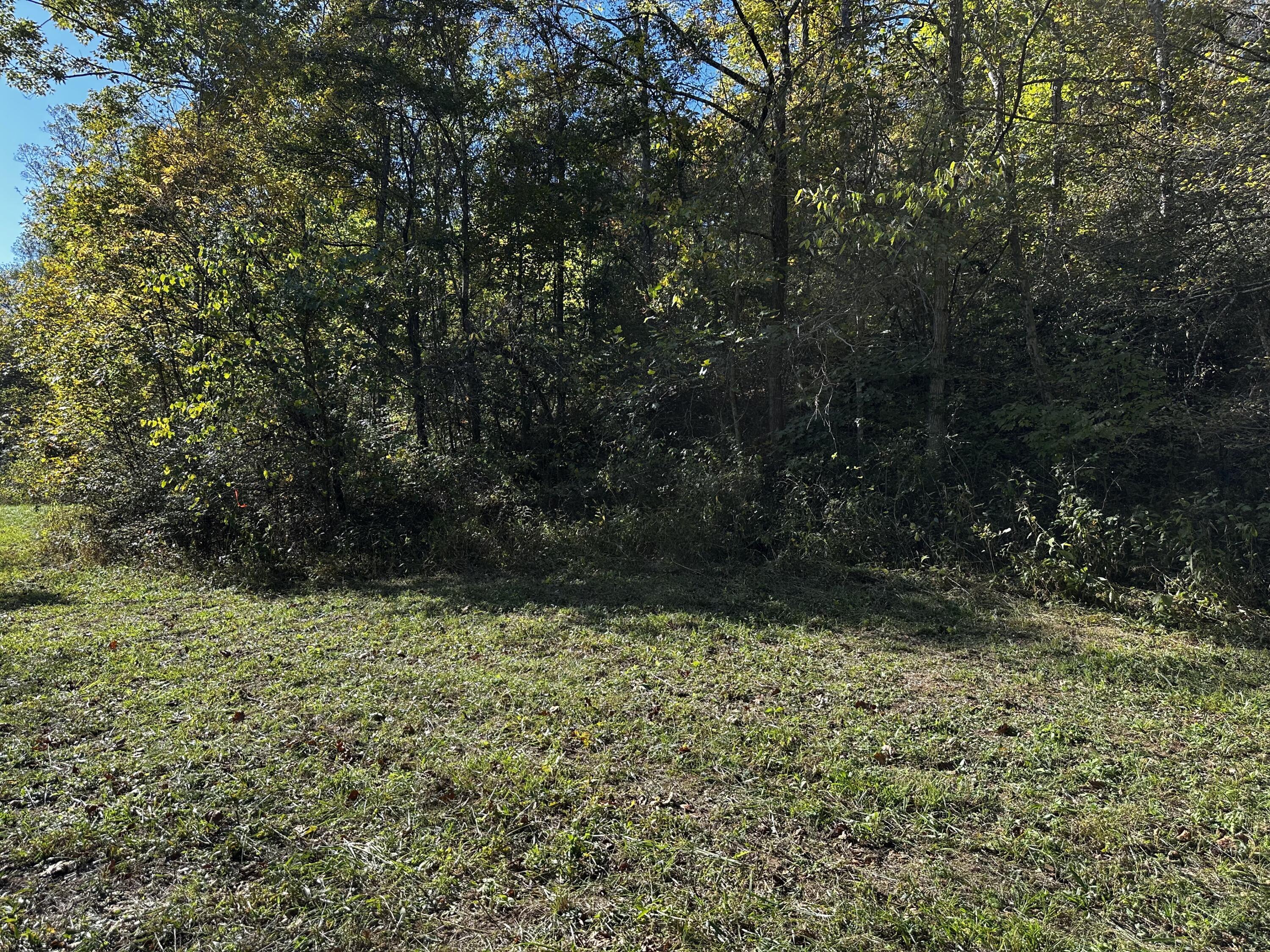 925 Hull Road, (skyline Cabin Woods Wayne) Property Photo 52