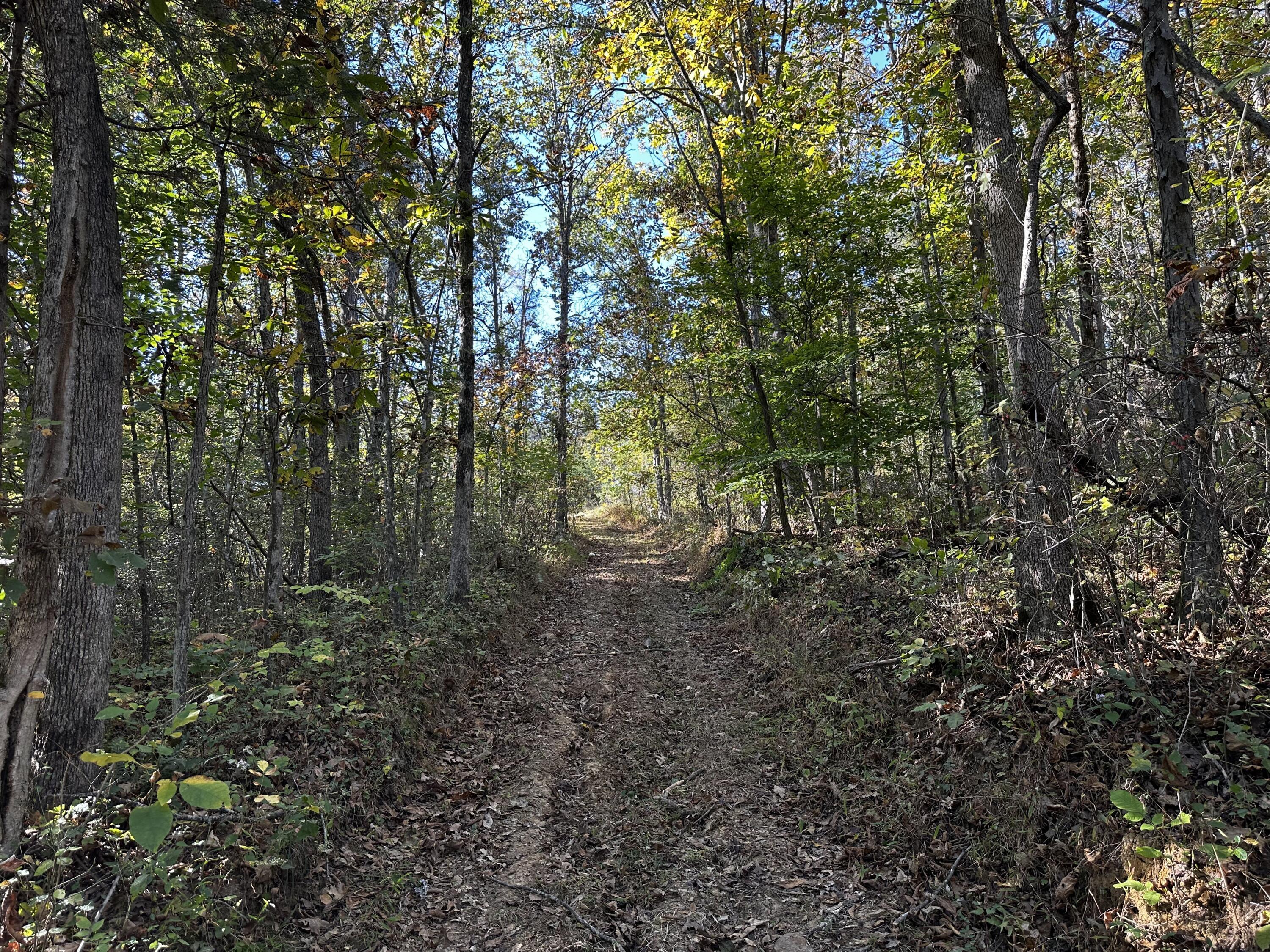 925 Hull Road, (skyline Cabin Woods Wayne) Property Photo 54