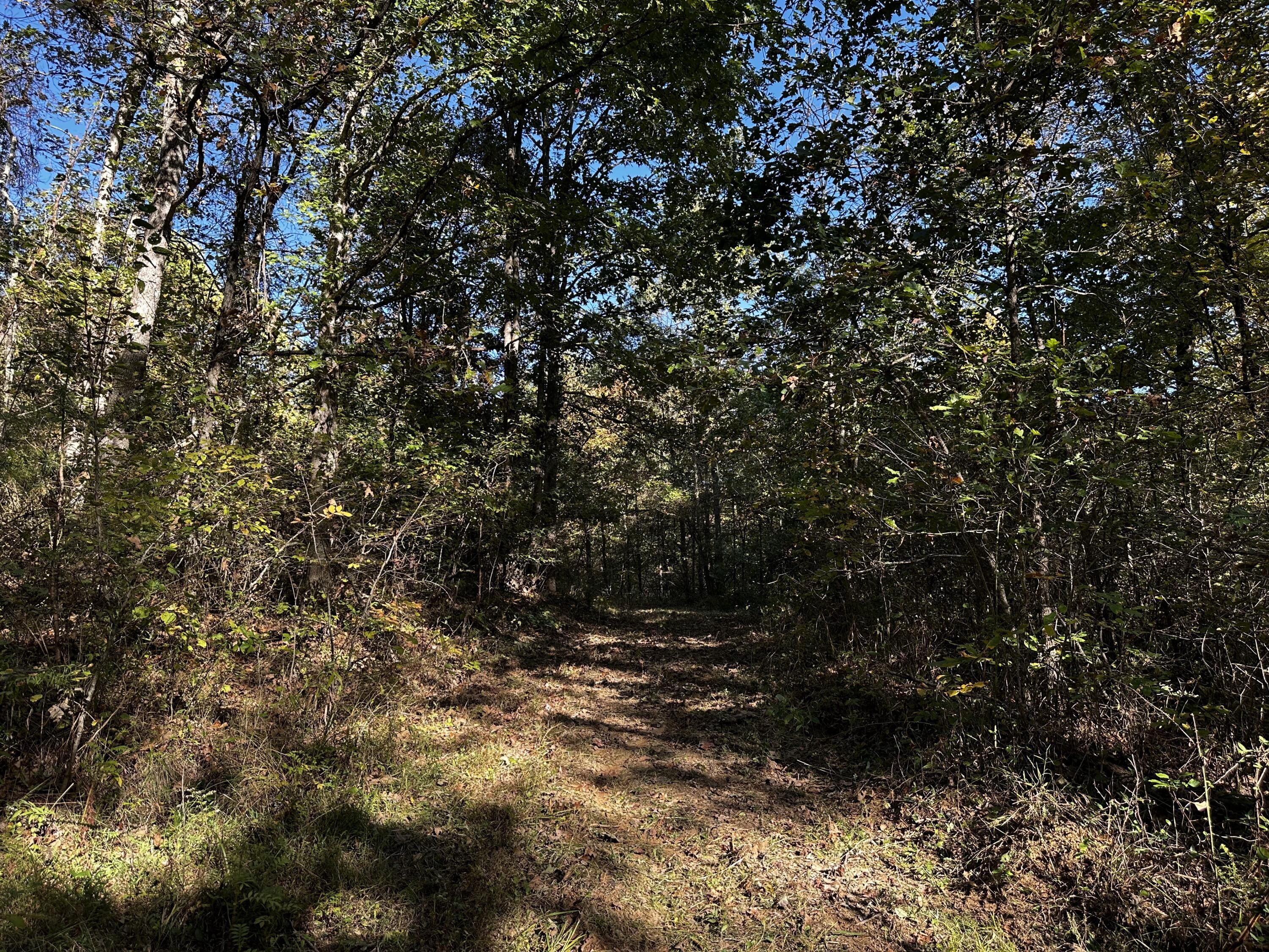 925 Hull Road, (skyline Cabin Woods Wayne) Property Photo 55