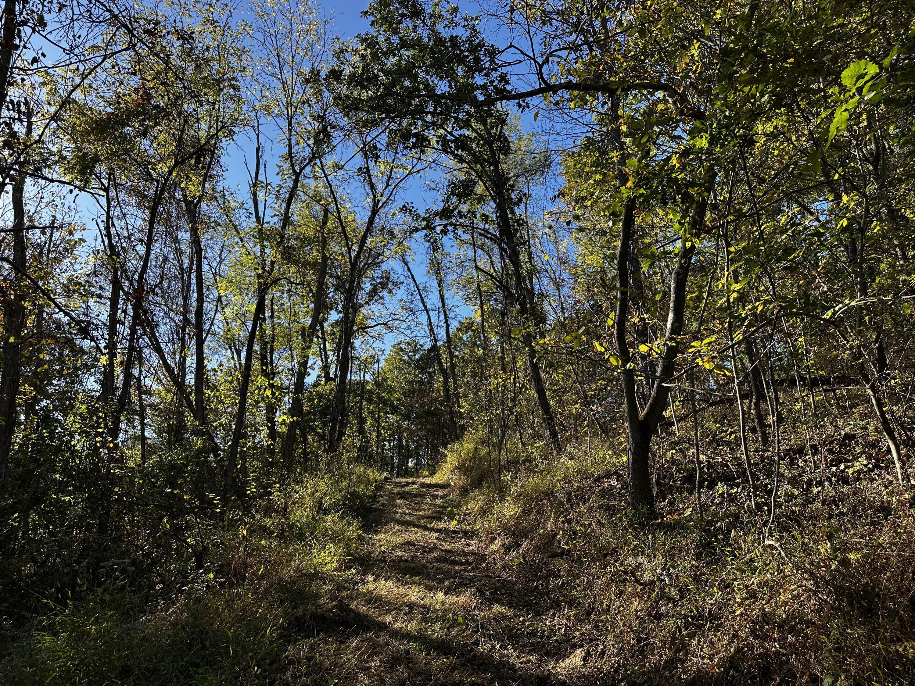 925 Hull Road, (skyline Cabin Woods Wayne) Property Photo 60