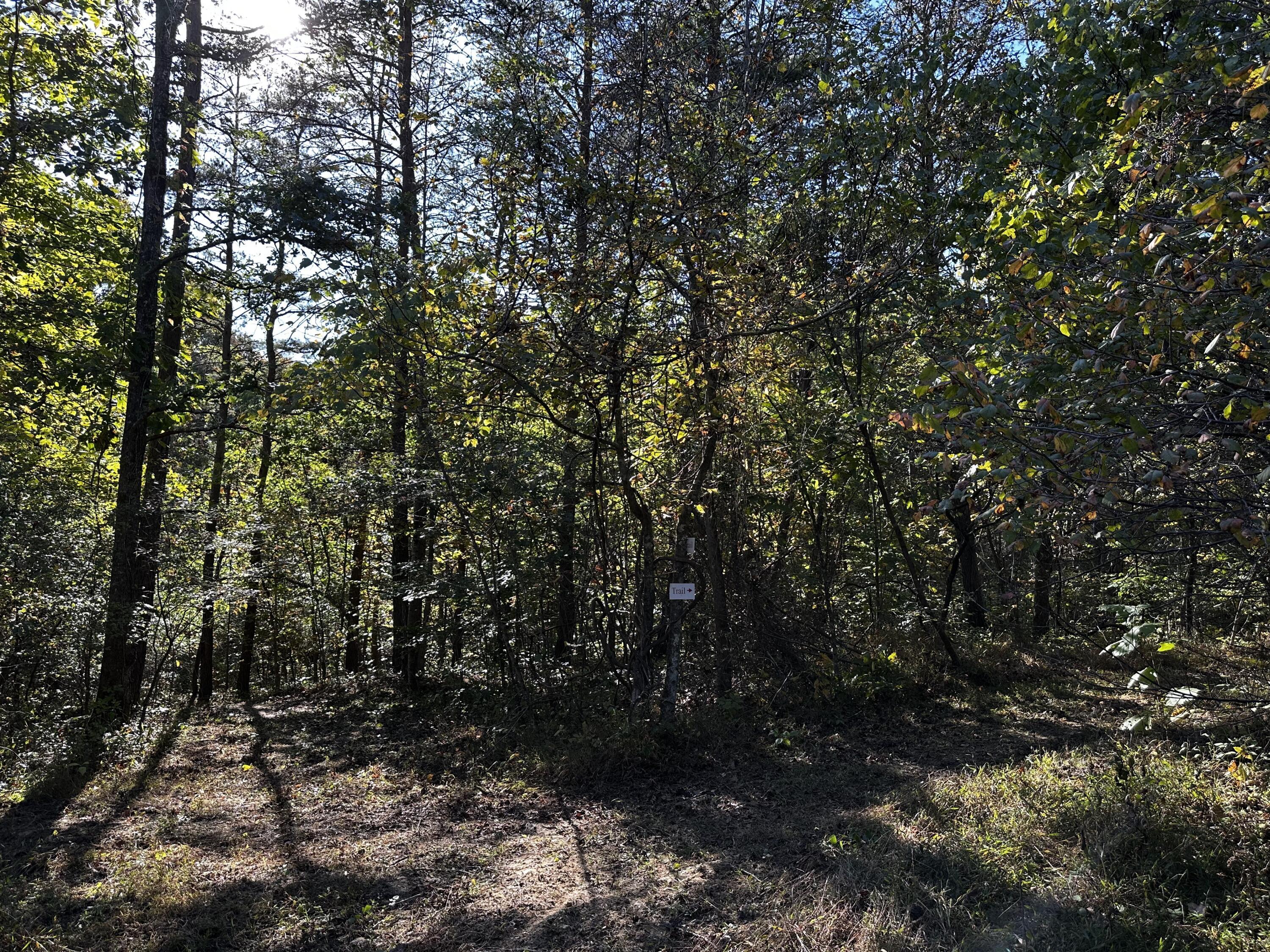 925 Hull Road, (skyline Cabin Woods Wayne) Property Photo 63