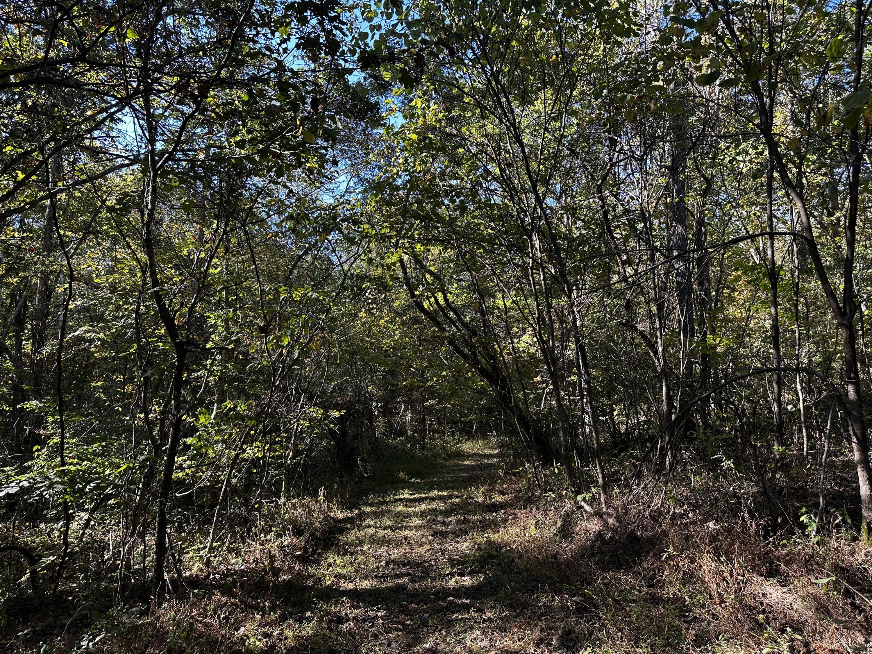 925 Hull Road, (skyline Cabin Woods Wayne) Property Photo 64