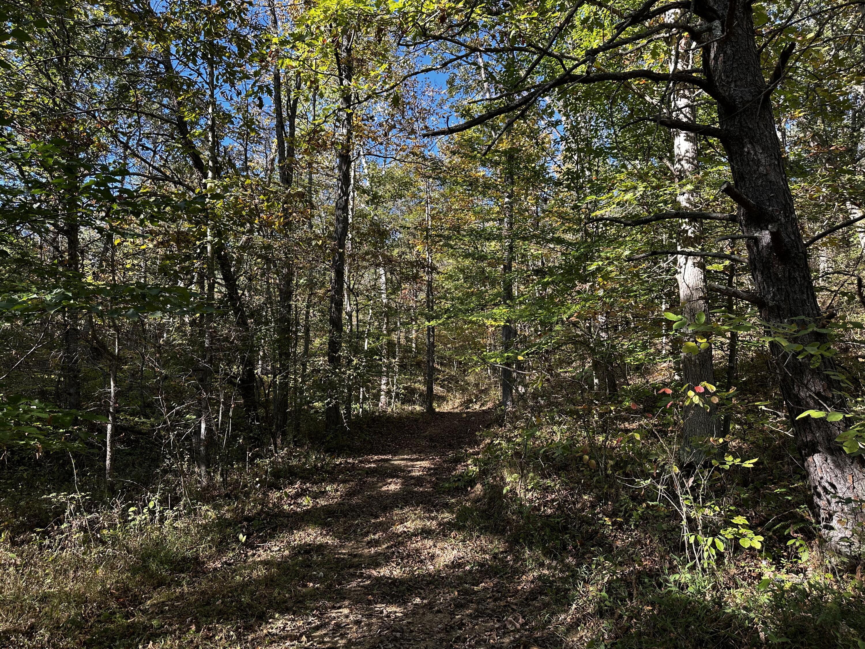 925 Hull Road, (skyline Cabin Woods Wayne) Property Photo 65