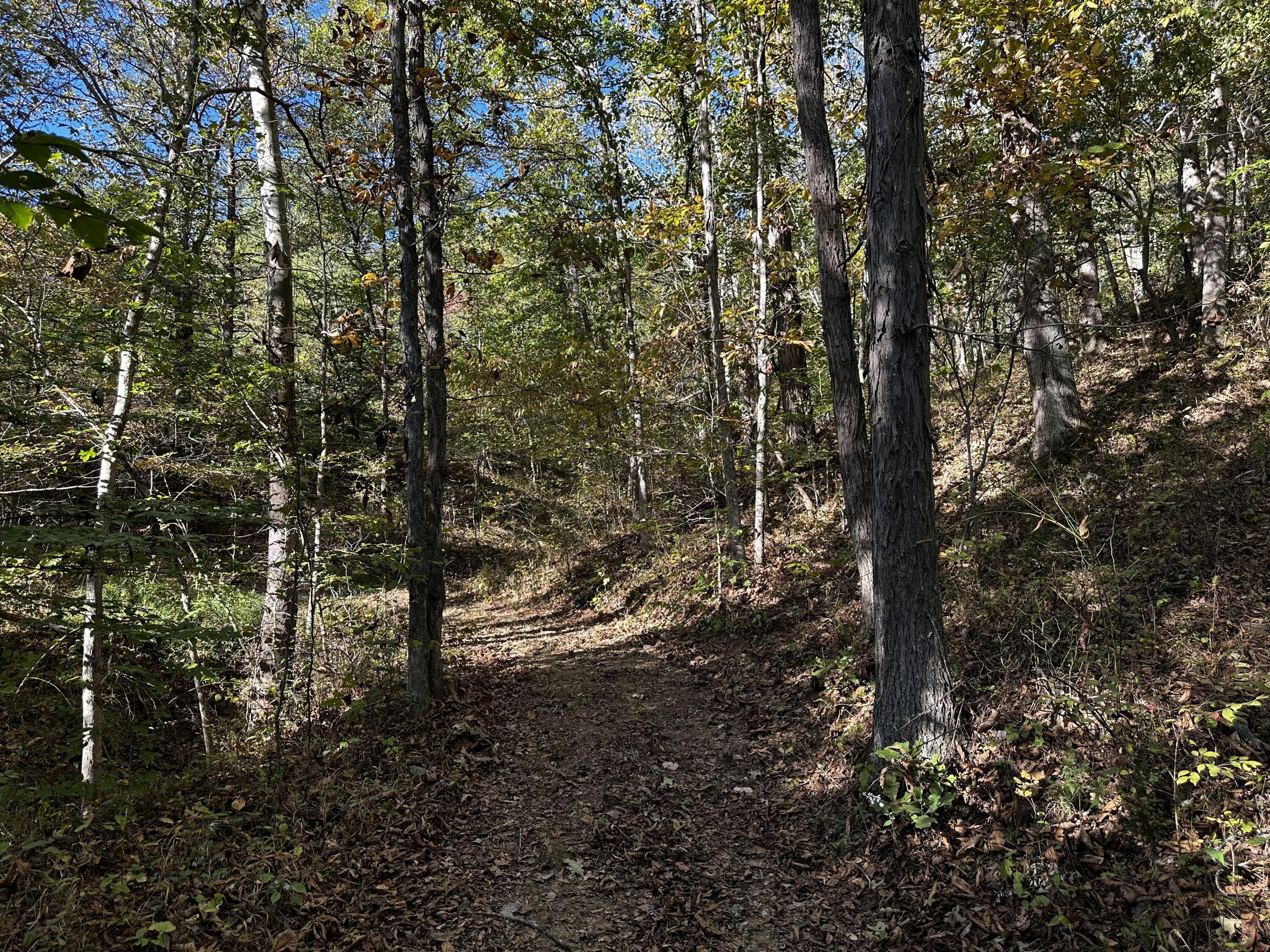 925 Hull Road, (skyline Cabin Woods Wayne) Property Photo 66