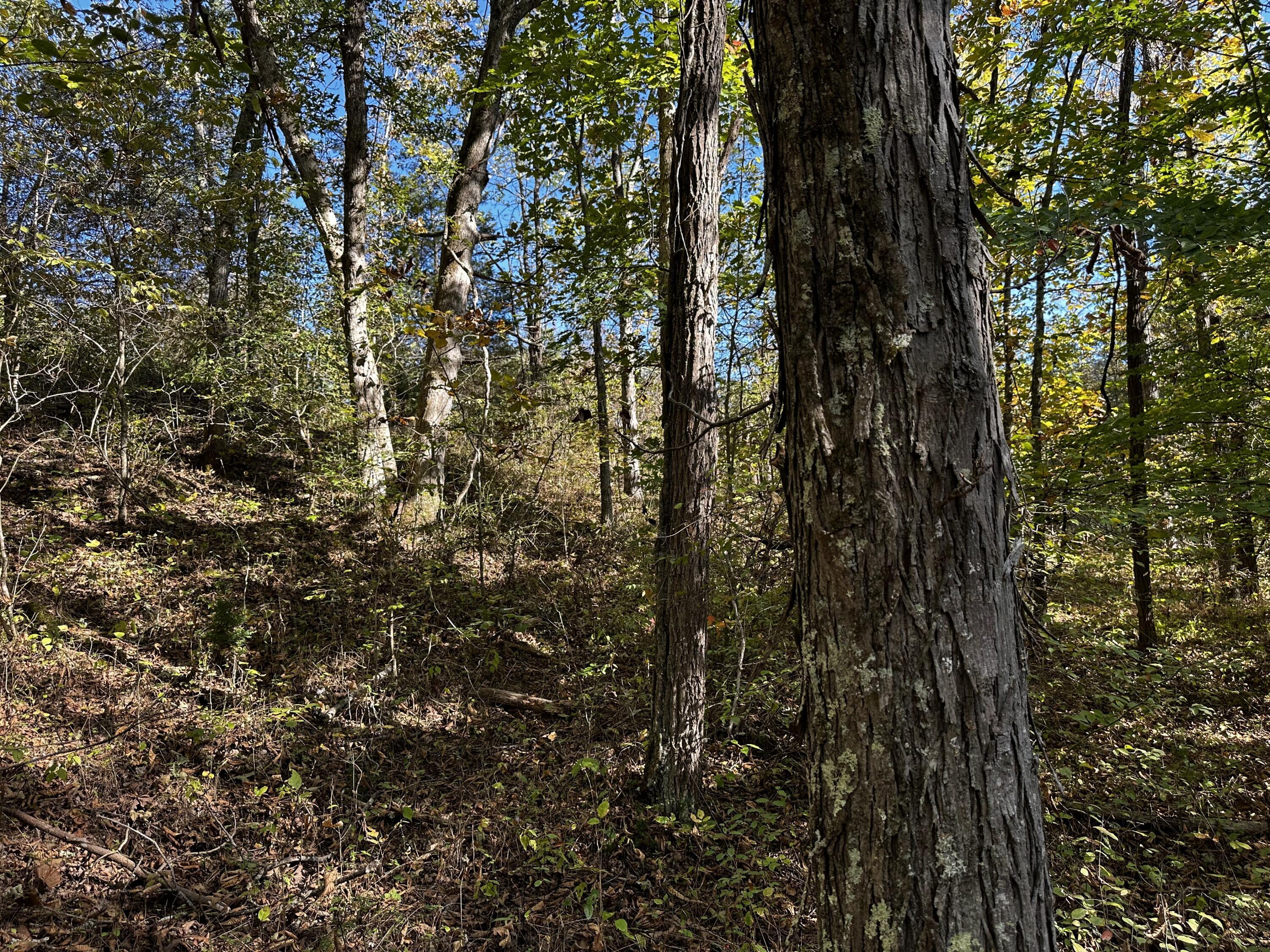 925 Hull Road, (skyline Cabin Woods Wayne) Property Photo 67