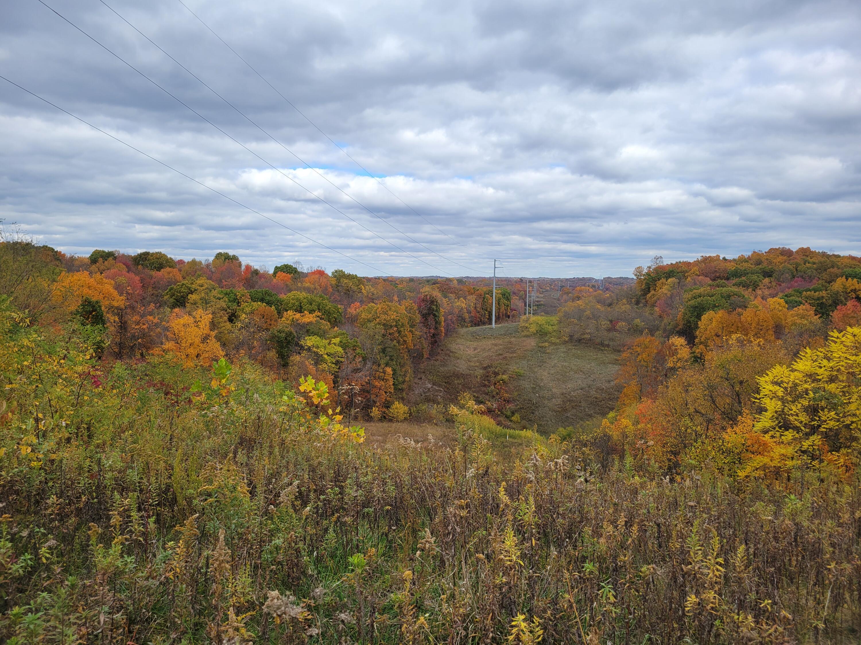 0 Goosecreek Road Property Photo 1