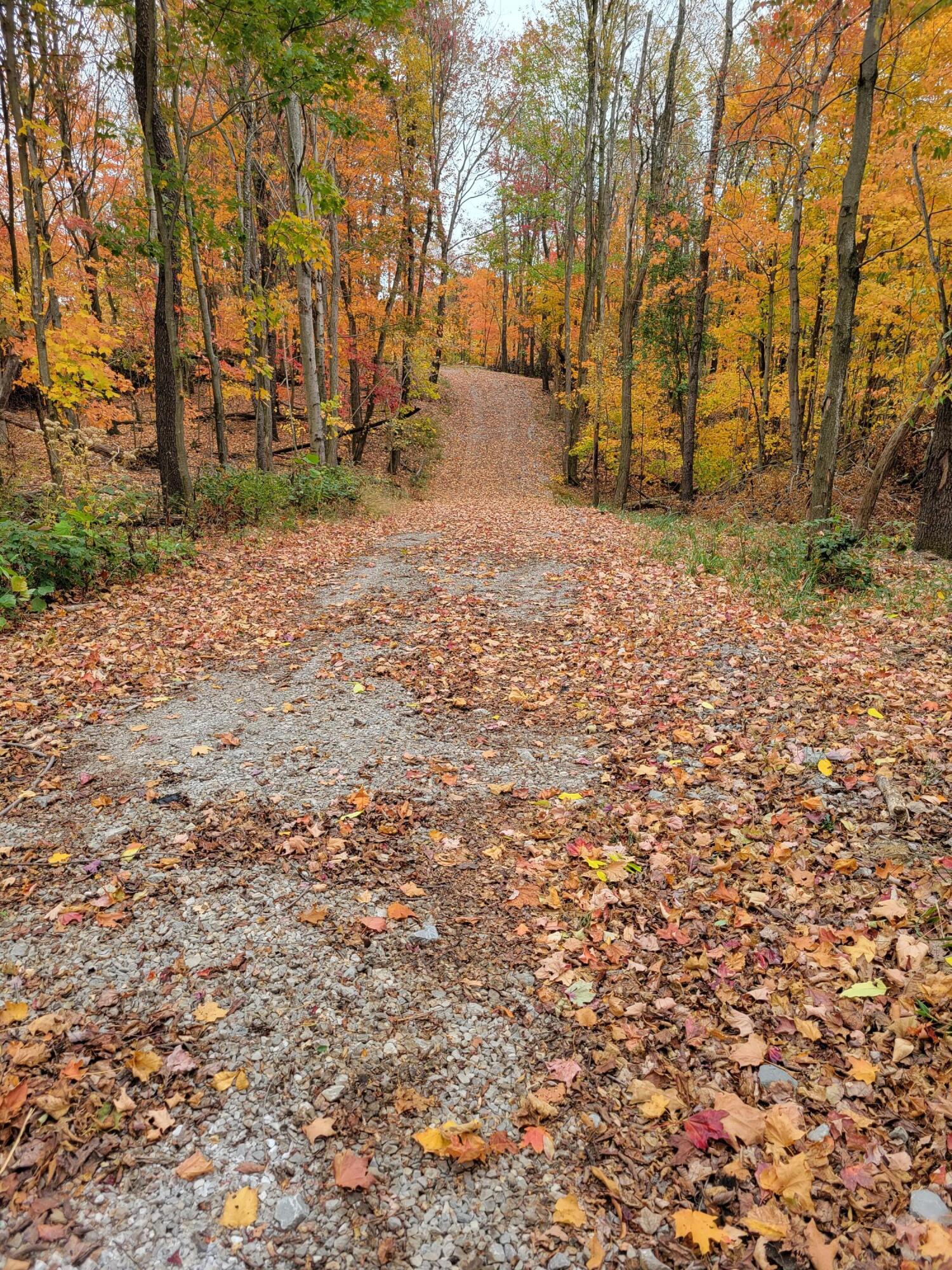 0 Goosecreek Road Property Photo 6