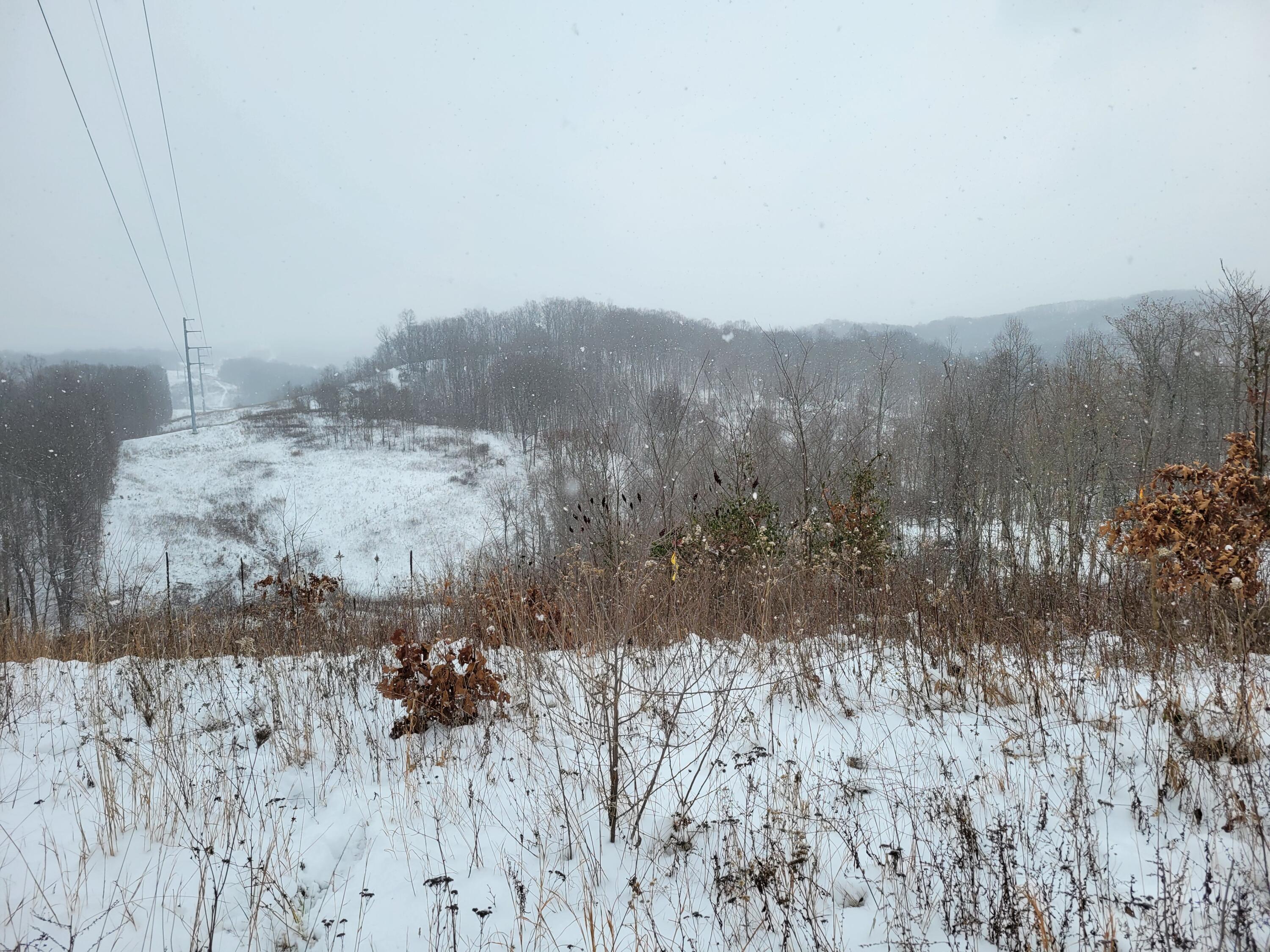 0 Goosecreek Road Property Photo 12