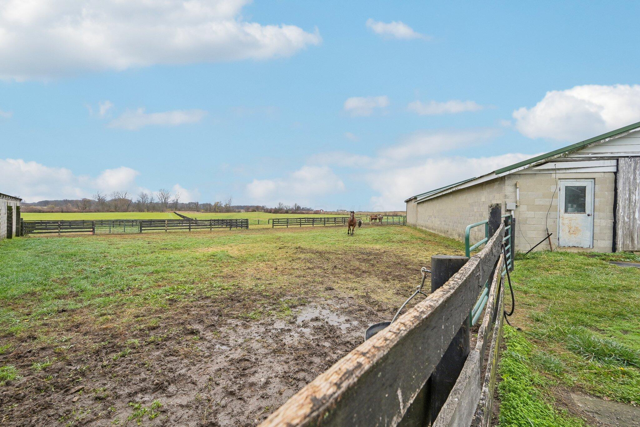 13810 Yankeetown Chenoweth Road Property Photo 46