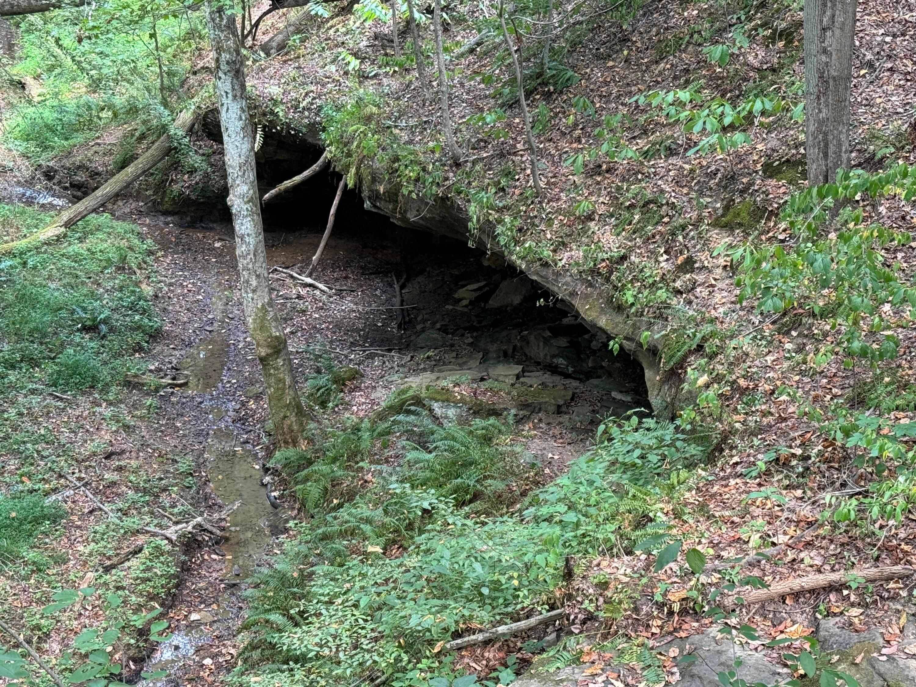 41455 State Route 684, (Tract 11 Albany Woods) Property Photo 1