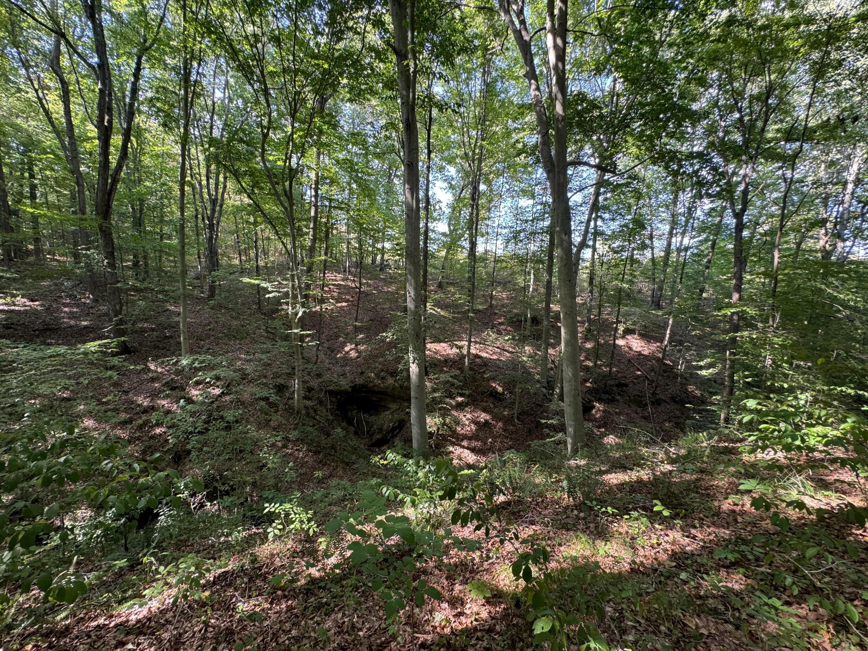 41455 State Route 684, (tract 11 Albany Woods) Property Photo 2