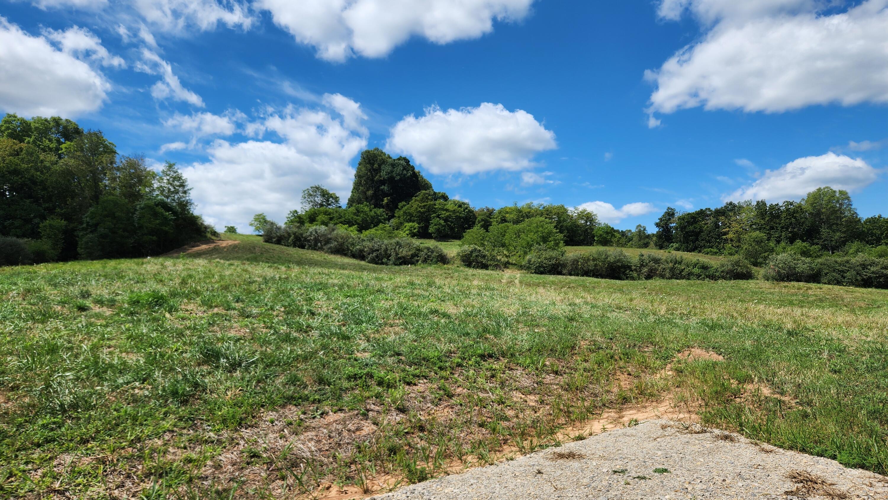 41455 State Route 684, (tract 11 Albany Woods) Property Photo 6