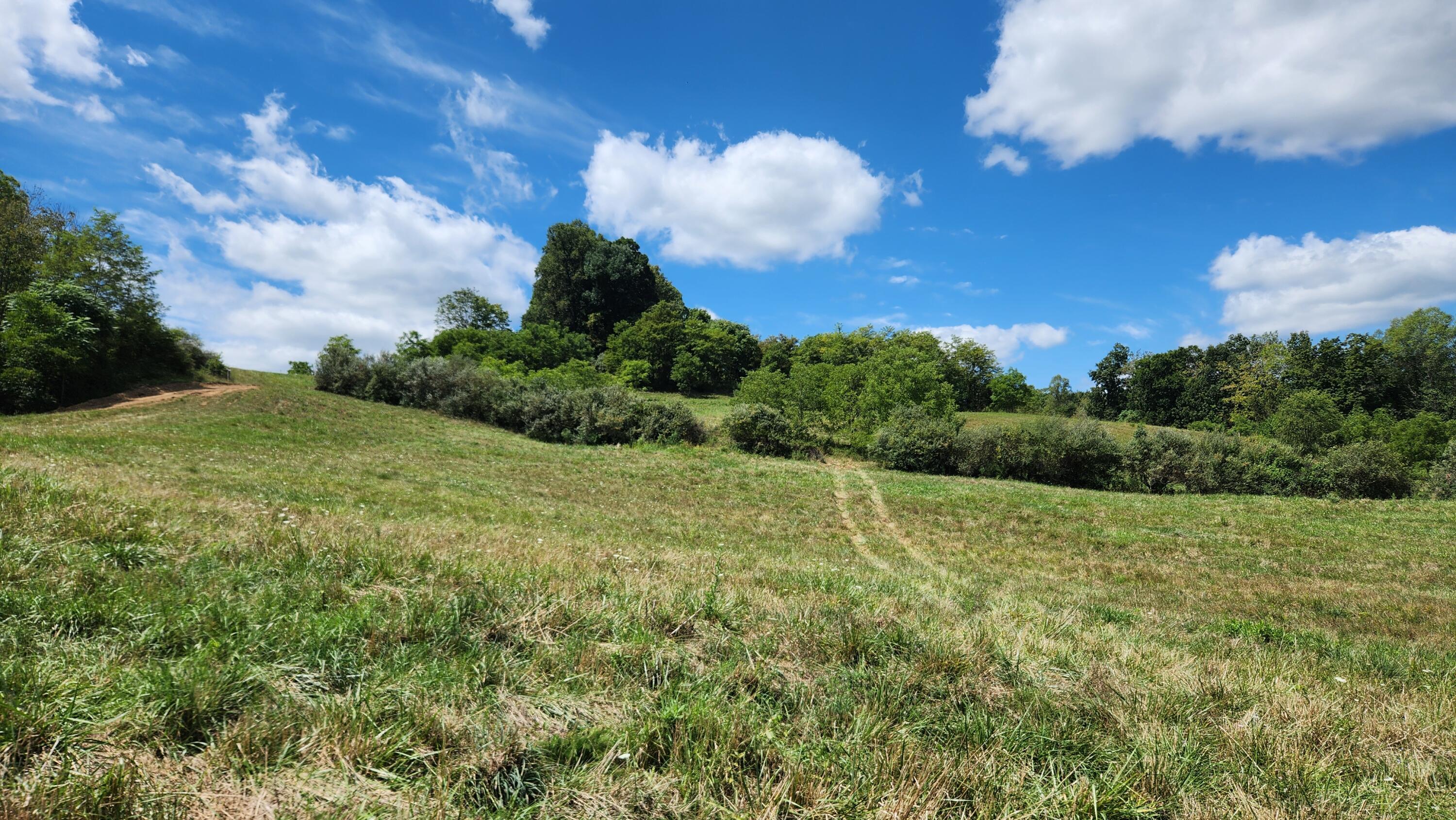 41455 State Route 684, (tract 11 Albany Woods) Property Photo 9