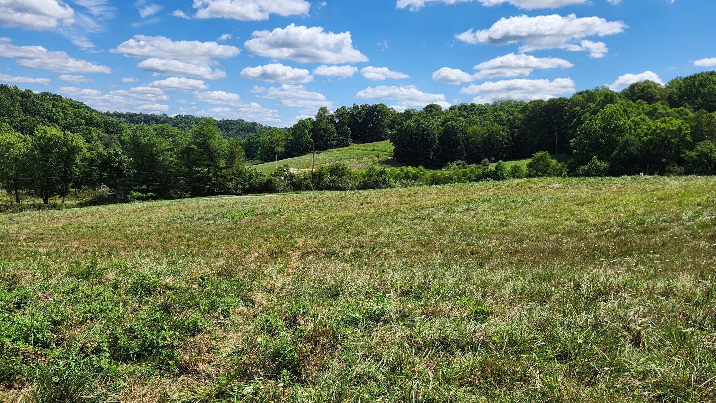 41455 State Route 684, (tract 11 Albany Woods) Property Photo 10