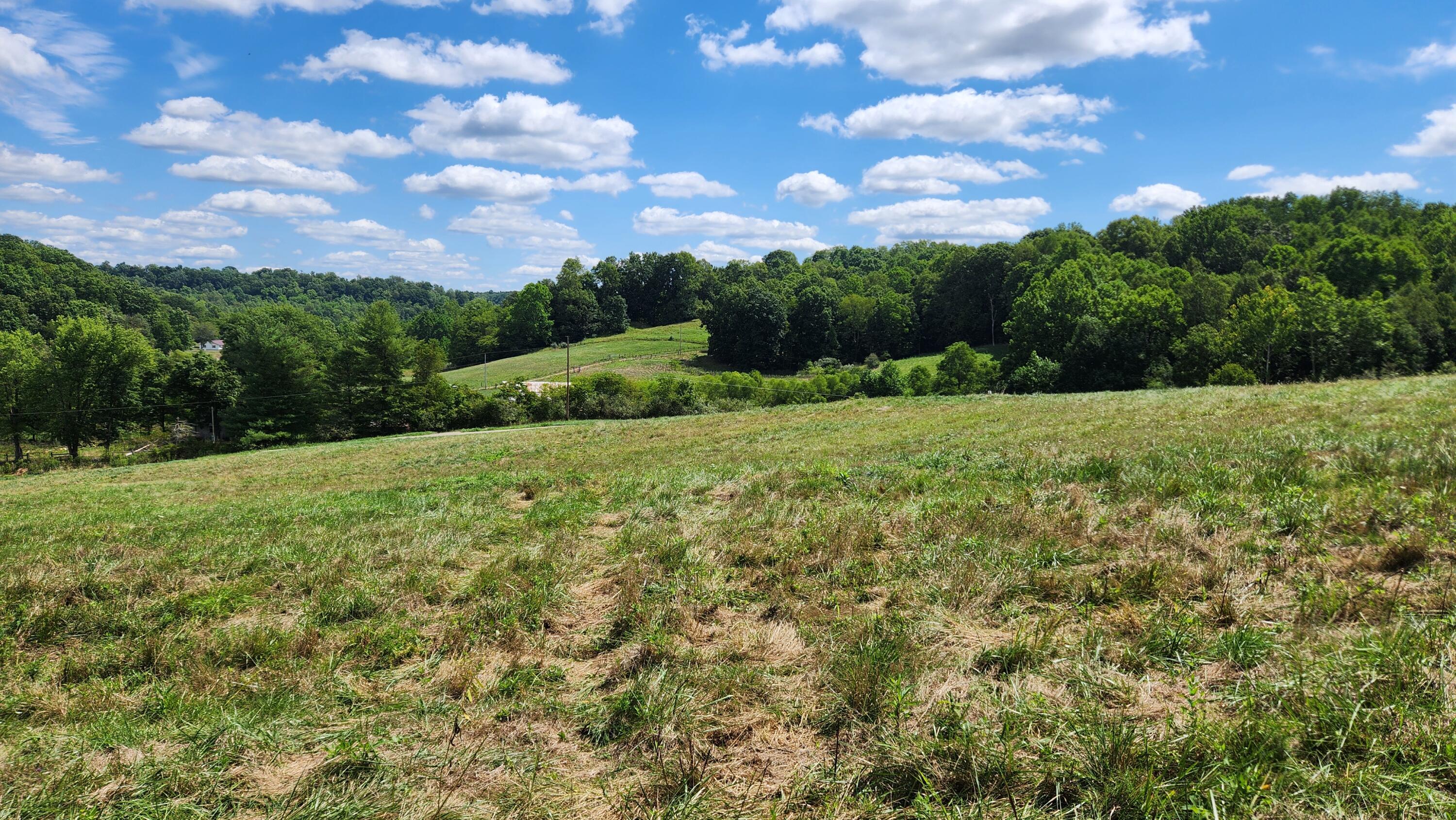 41455 State Route 684, (tract 11 Albany Woods) Property Photo 11