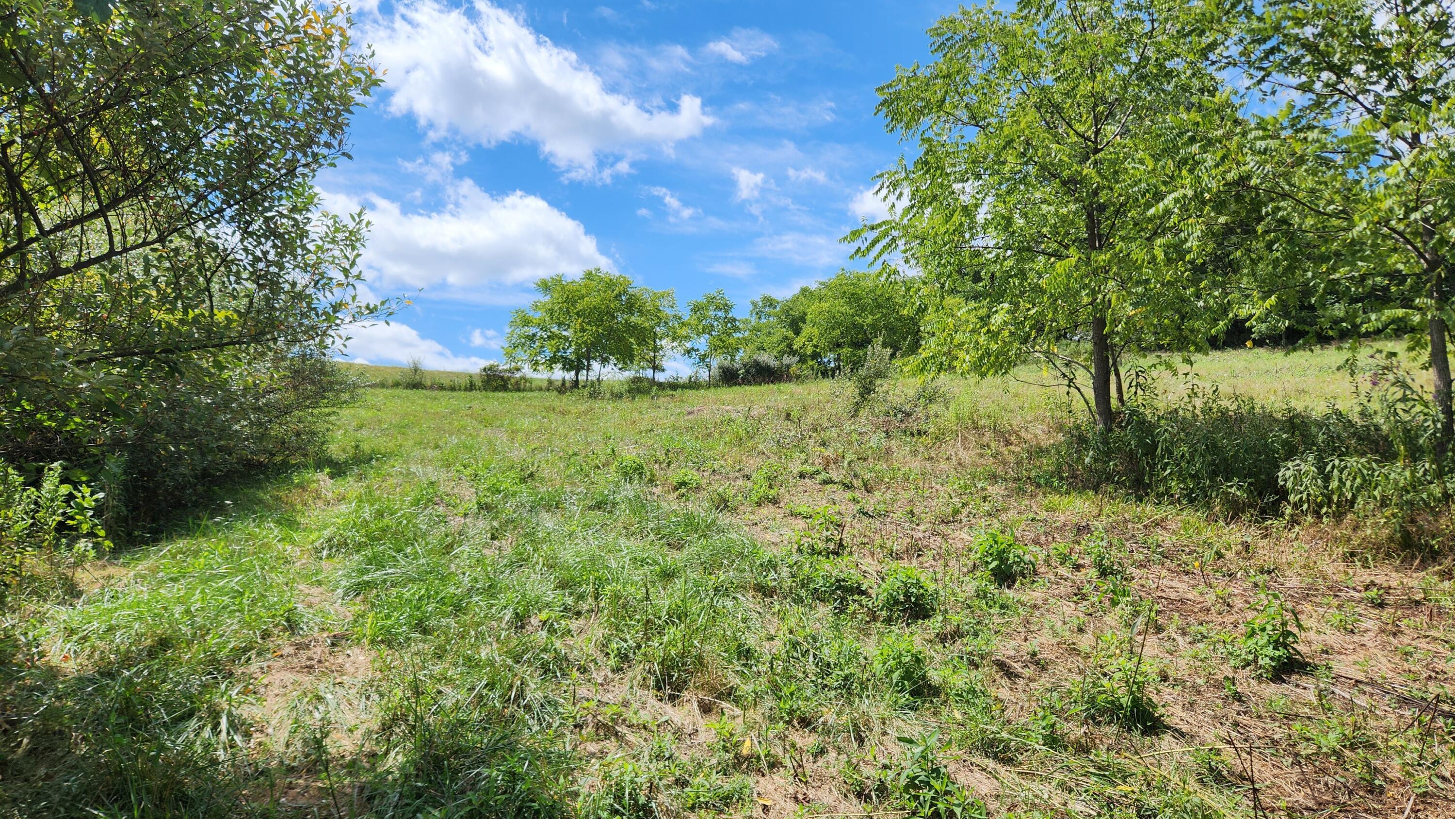 41455 State Route 684, (tract 11 Albany Woods) Property Photo 12