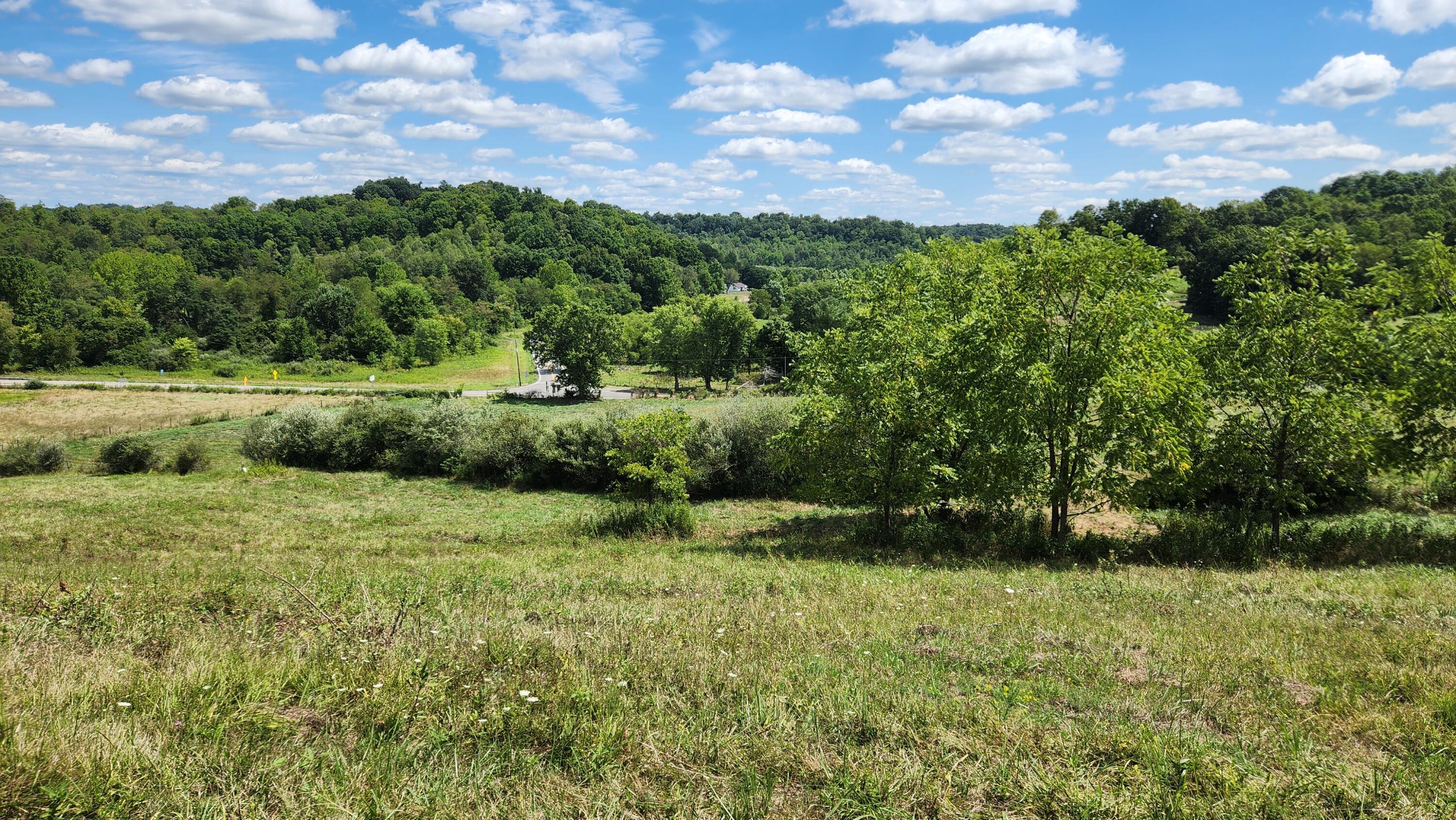 41455 State Route 684, (tract 11 Albany Woods) Property Photo 14