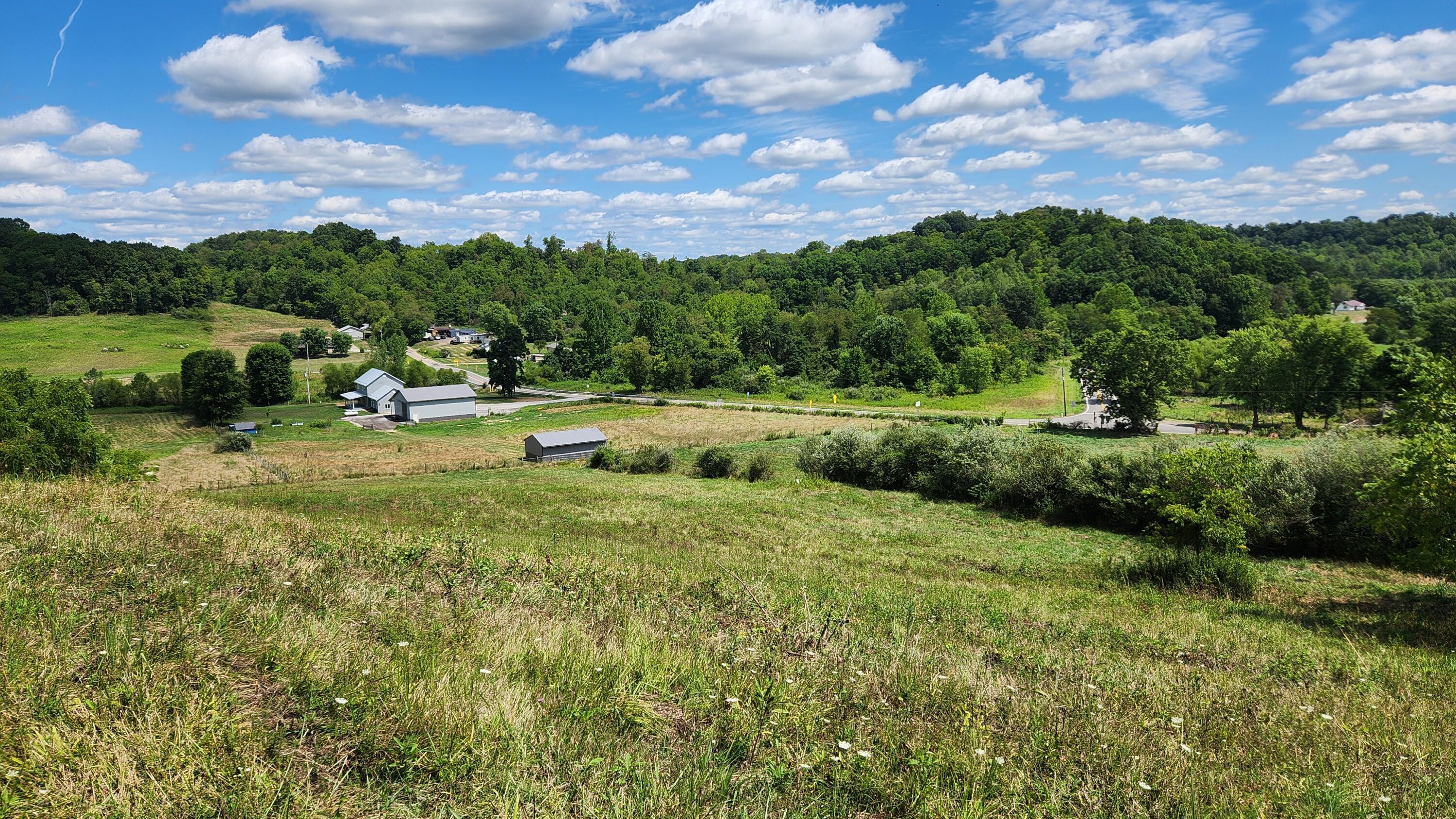 41455 State Route 684, (tract 11 Albany Woods) Property Photo 15