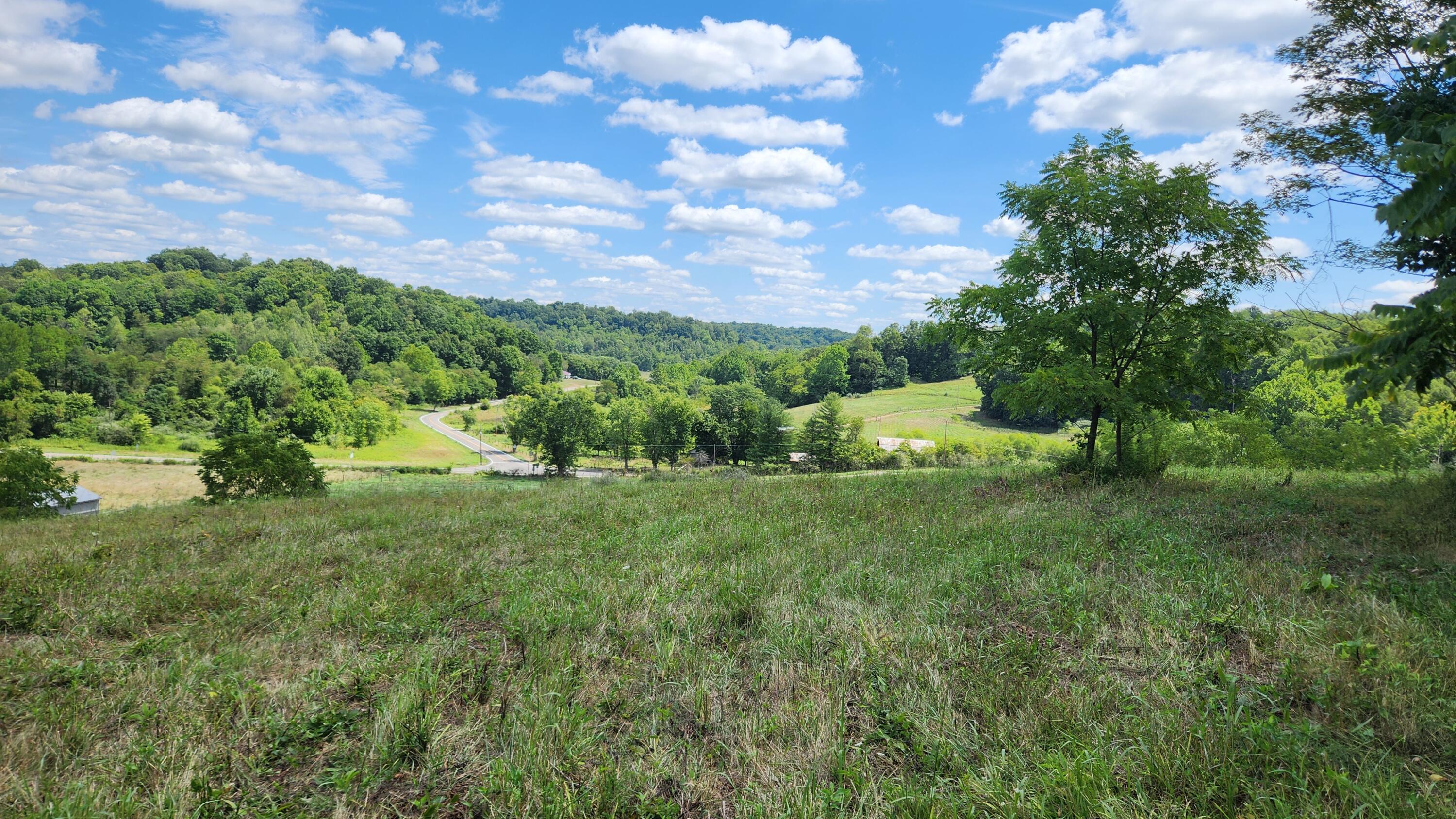 41455 State Route 684, (tract 11 Albany Woods) Property Photo 16