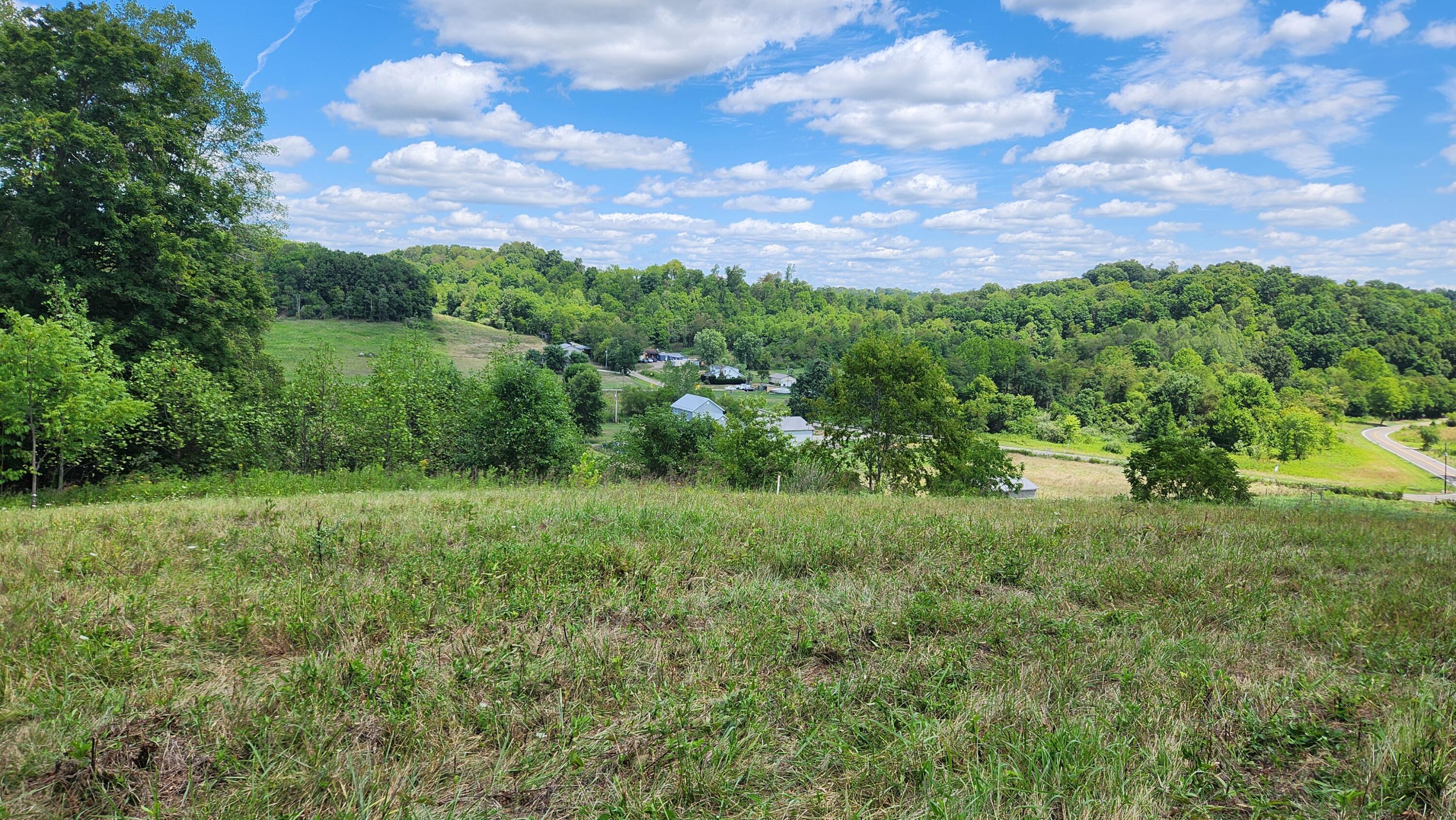 41455 State Route 684, (tract 11 Albany Woods) Property Photo 17