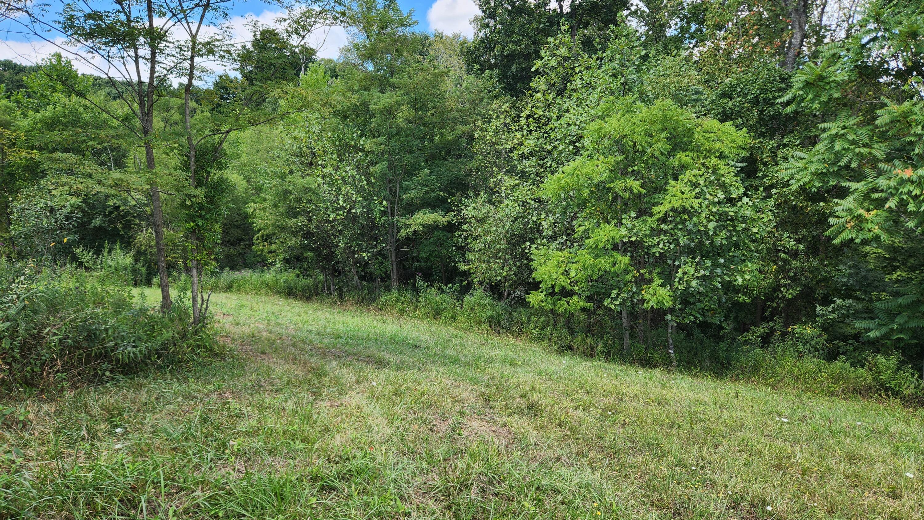 41455 State Route 684, (tract 11 Albany Woods) Property Photo 18