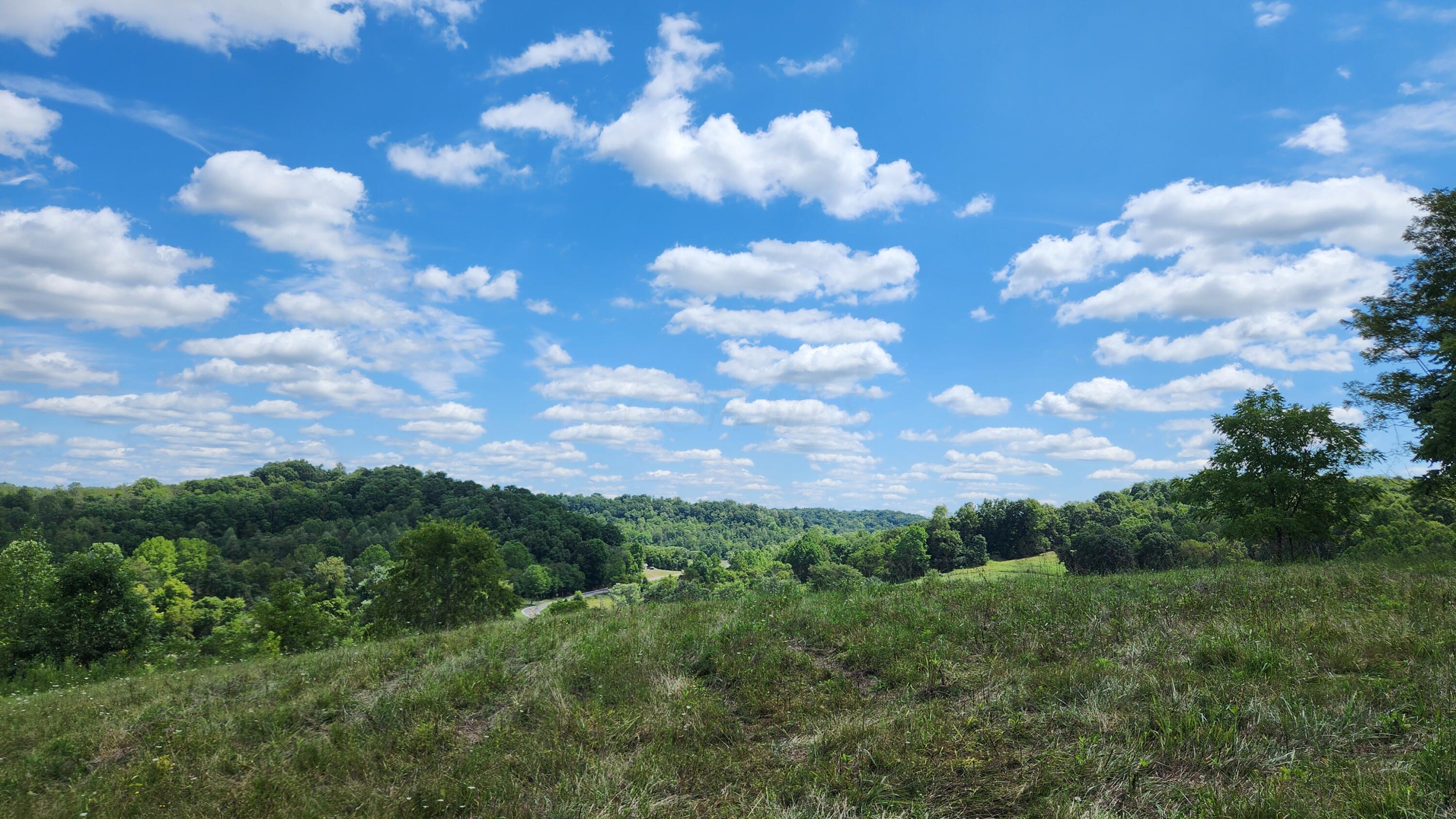 41455 State Route 684, (tract 11 Albany Woods) Property Photo 19
