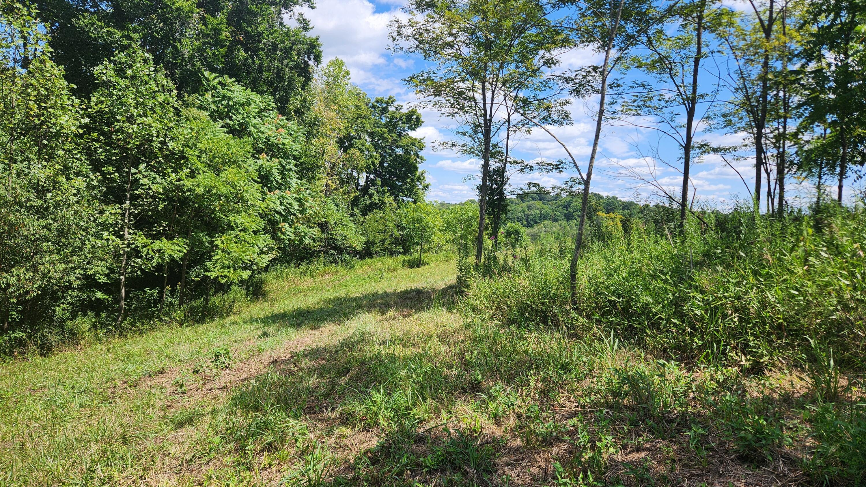 41455 State Route 684, (tract 11 Albany Woods) Property Photo 20