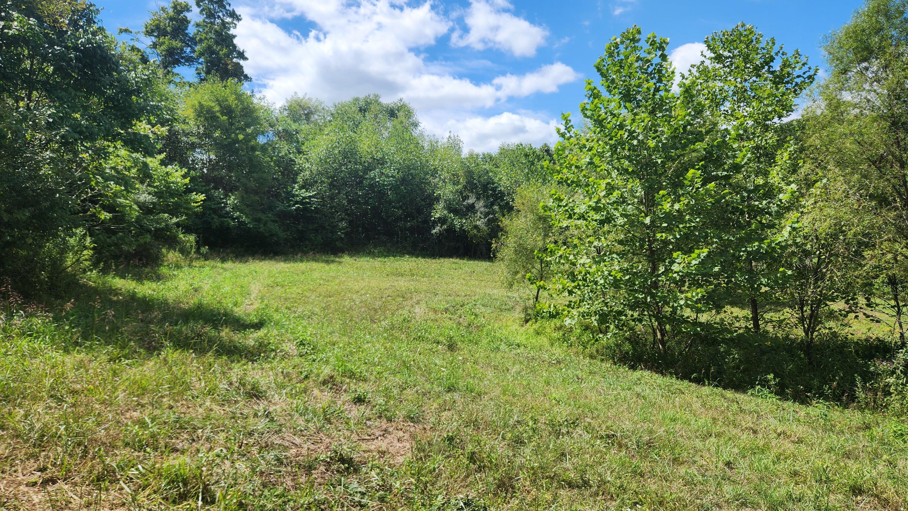 41455 State Route 684, (tract 11 Albany Woods) Property Photo 21
