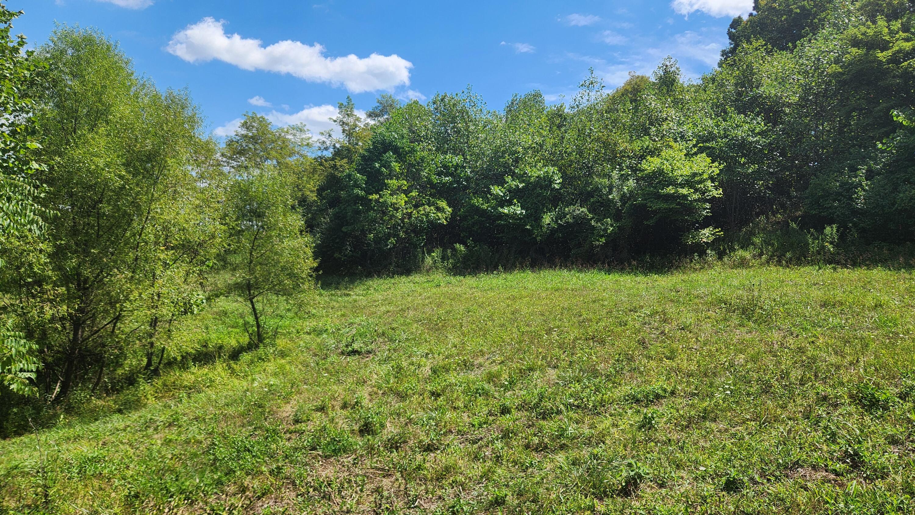 41455 State Route 684, (tract 11 Albany Woods) Property Photo 23