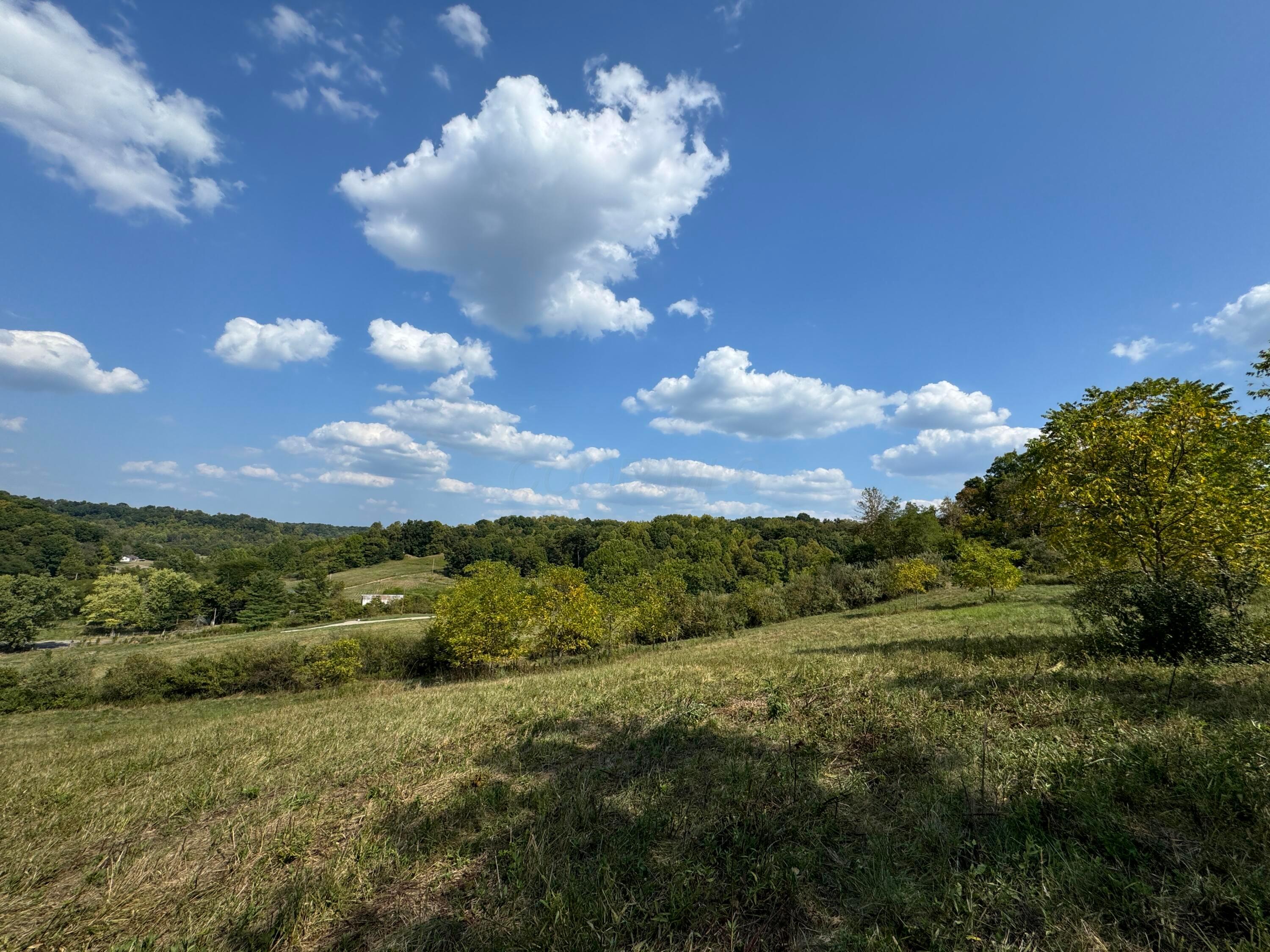 41455 State Route 684, (tract 11 Albany Woods) Property Photo 24