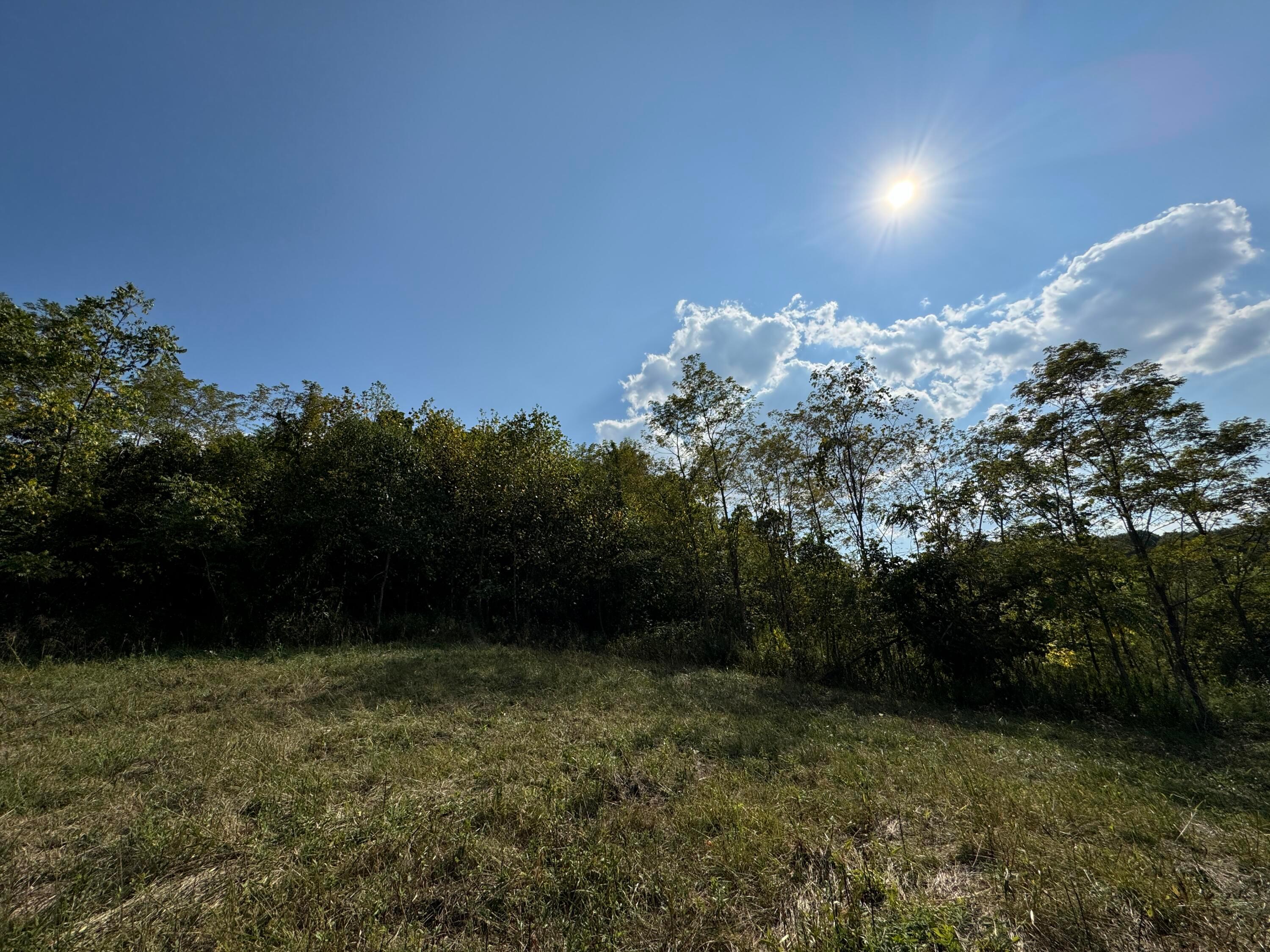 41455 State Route 684, (tract 11 Albany Woods) Property Photo 28