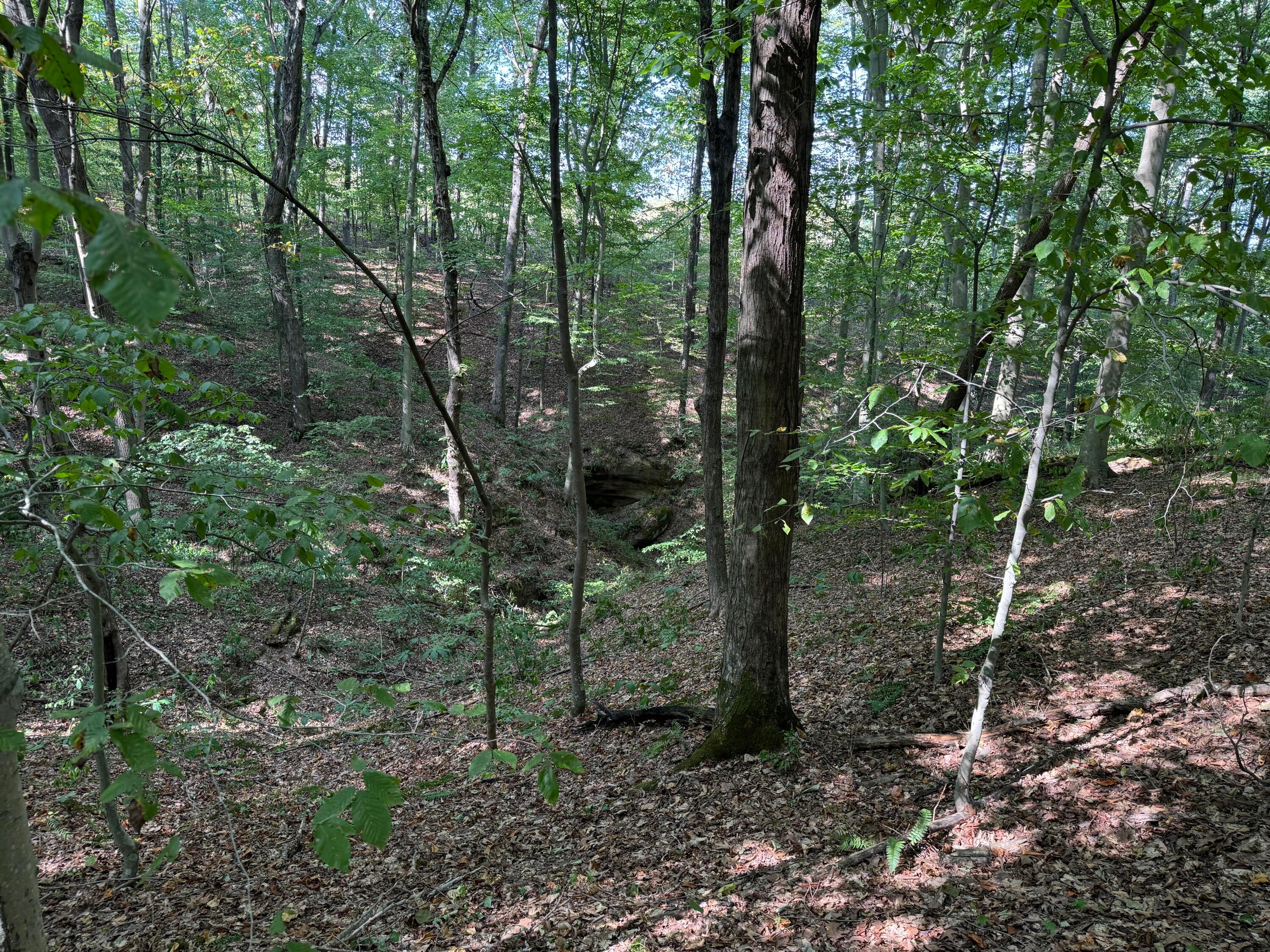 41455 State Route 684, (tract 11 Albany Woods) Property Photo 30