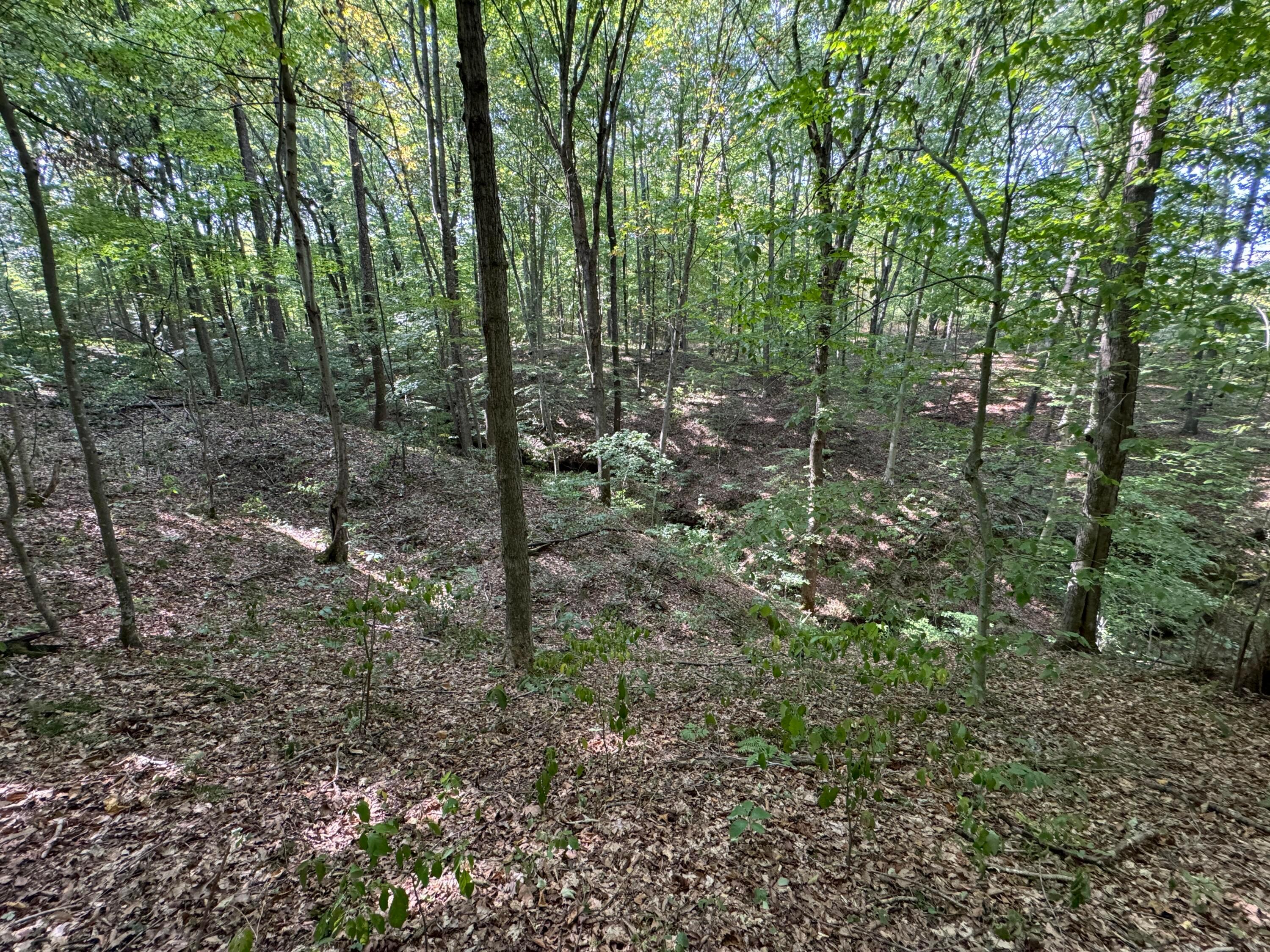 41455 State Route 684, (tract 11 Albany Woods) Property Photo 33