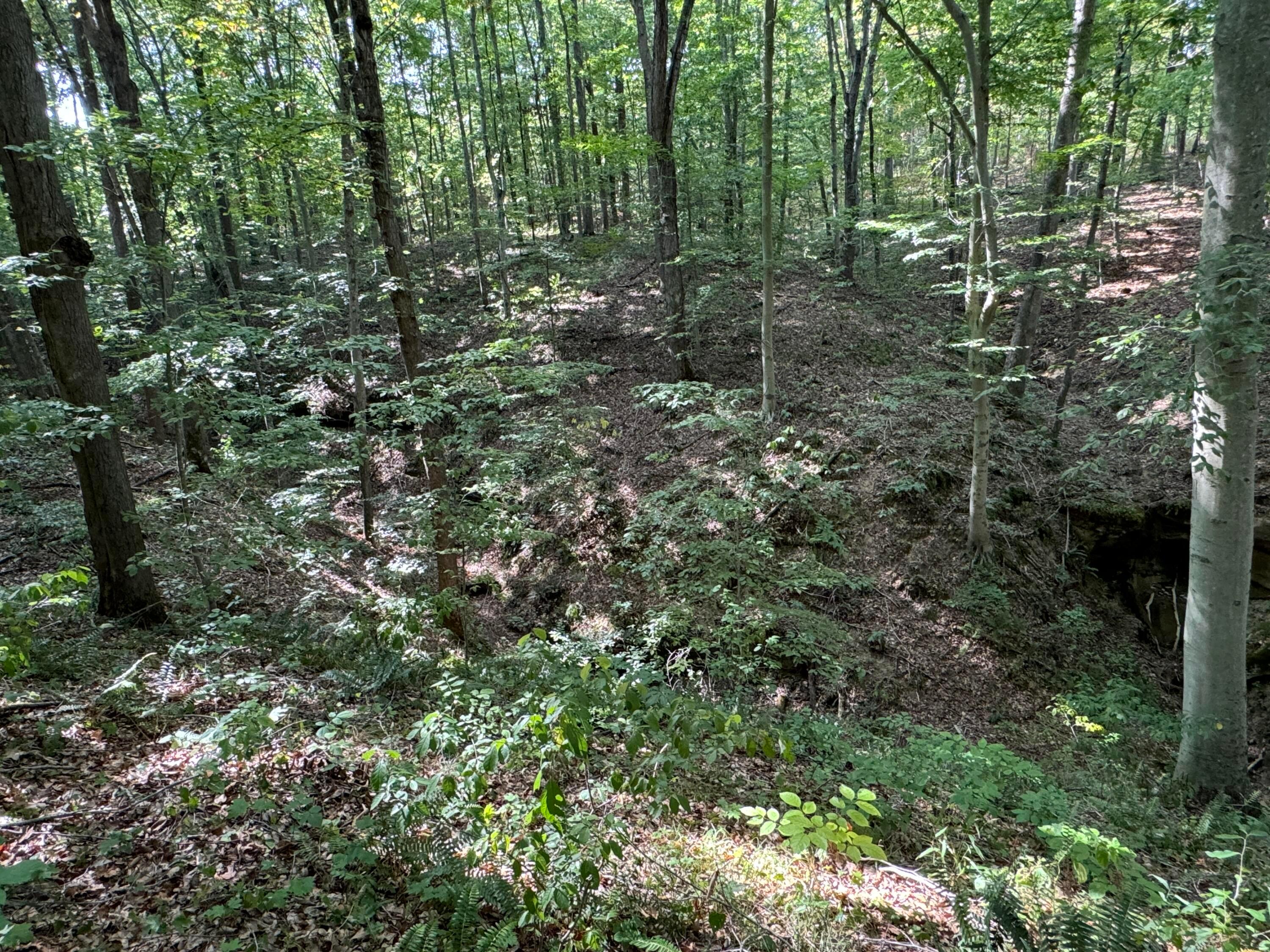 41455 State Route 684, (tract 11 Albany Woods) Property Photo 35