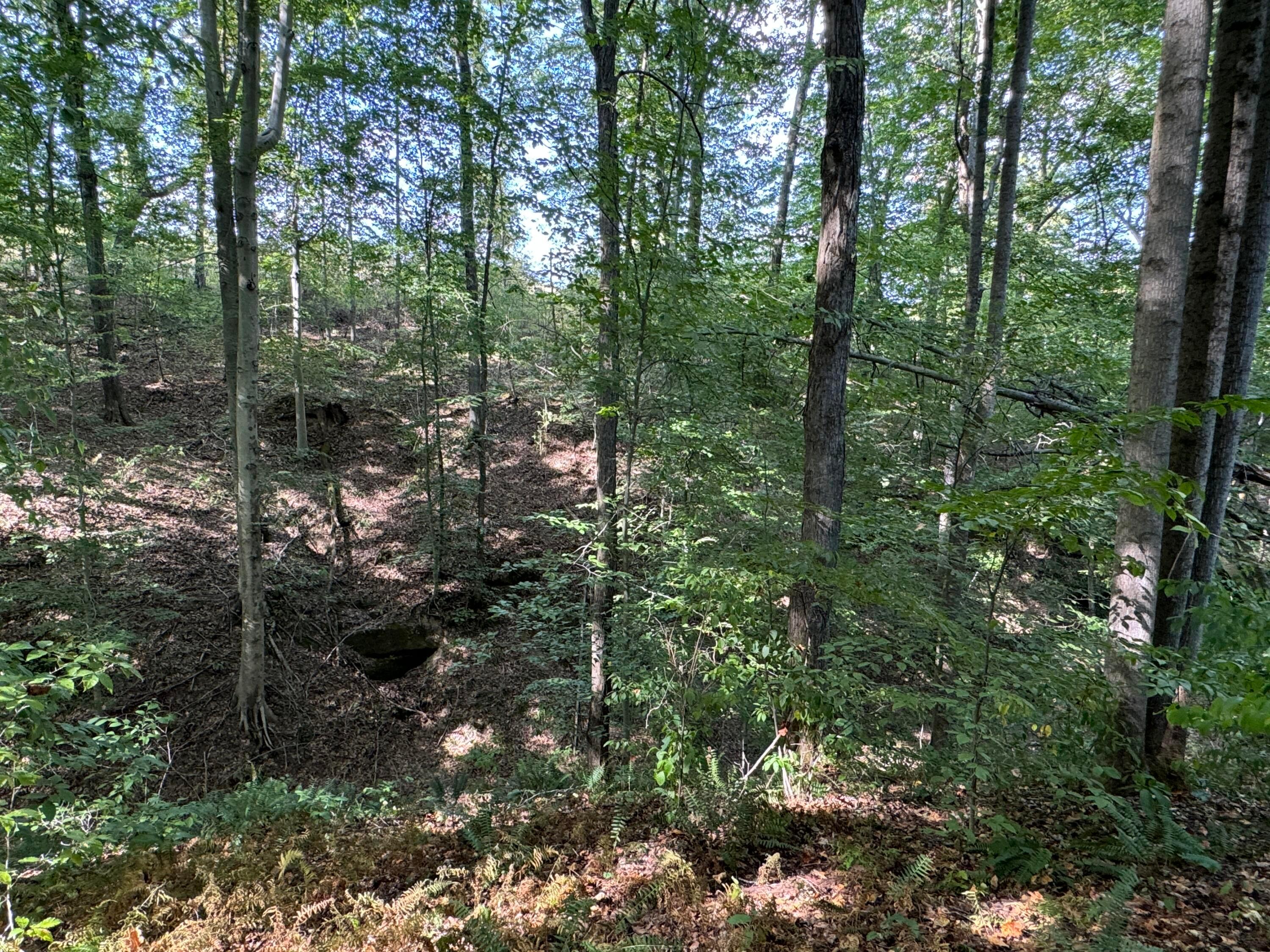 41455 State Route 684, (tract 11 Albany Woods) Property Photo 37