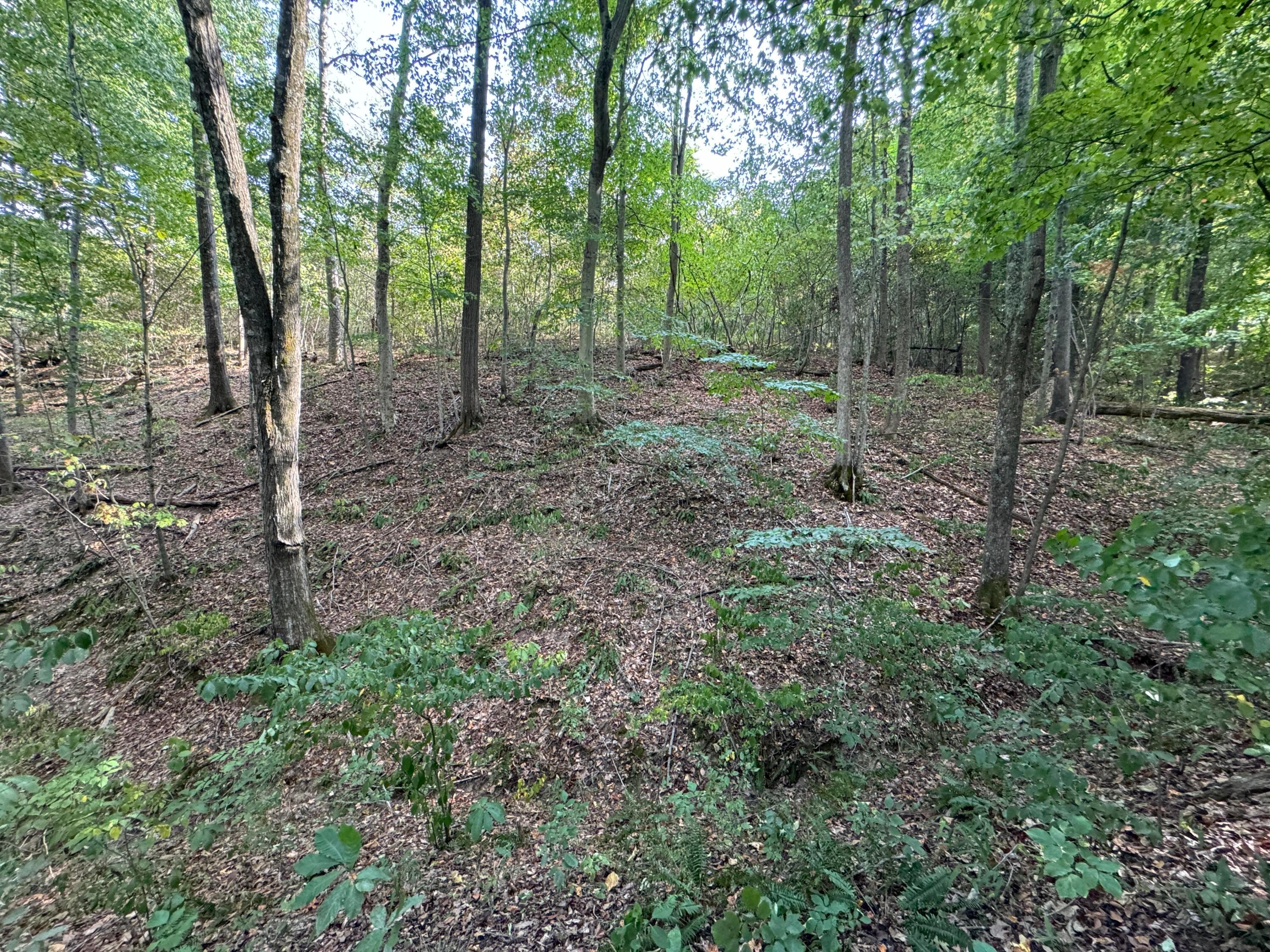 41455 State Route 684, (tract 11 Albany Woods) Property Photo 40