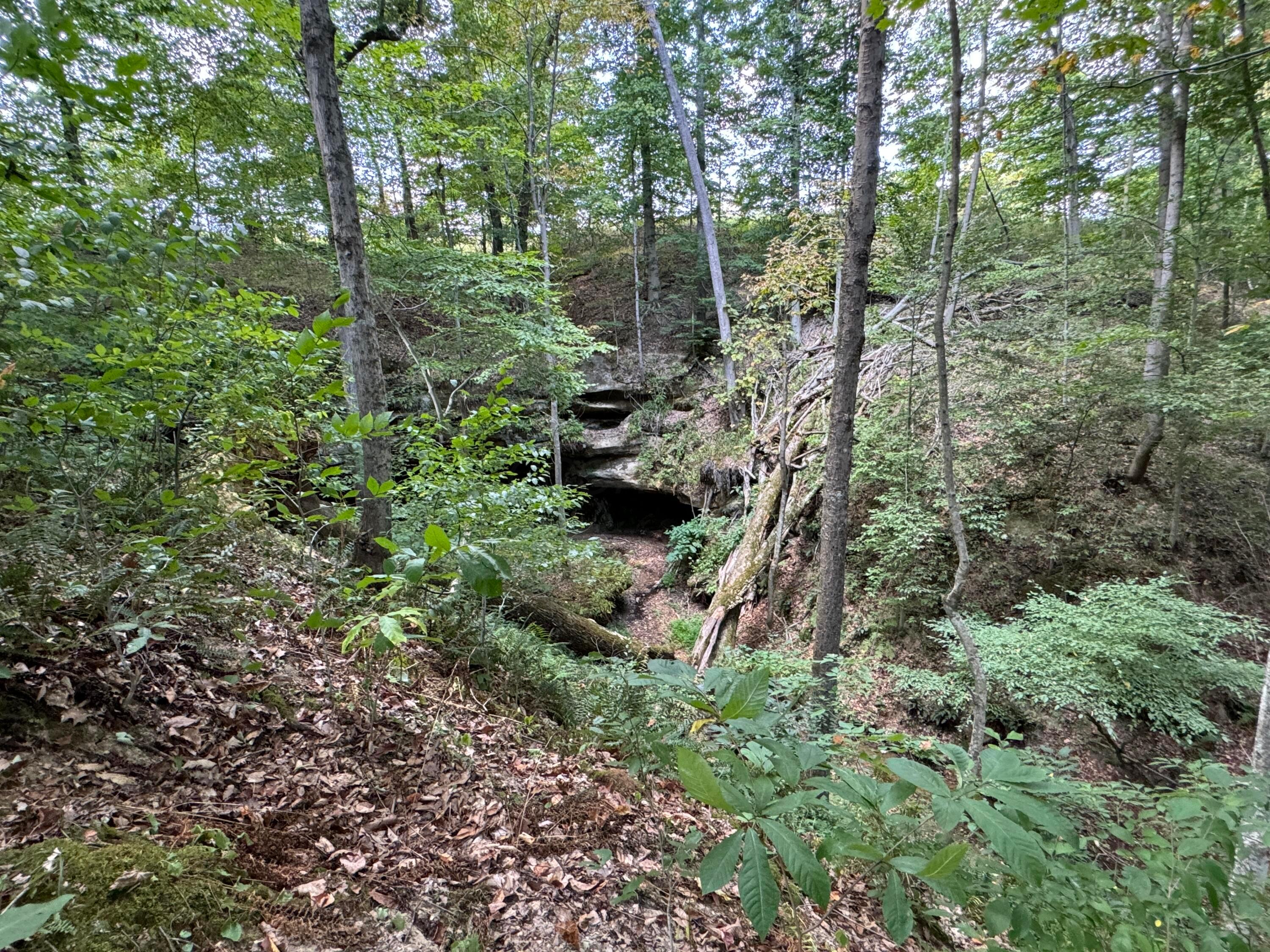 41455 State Route 684, (tract 11 Albany Woods) Property Photo 41