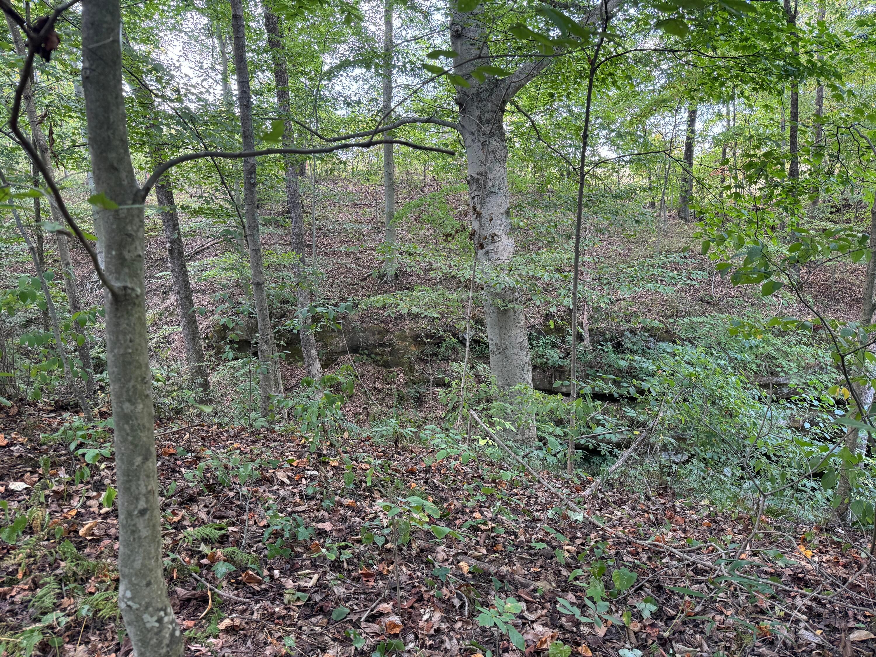41455 State Route 684, (tract 11 Albany Woods) Property Photo 43